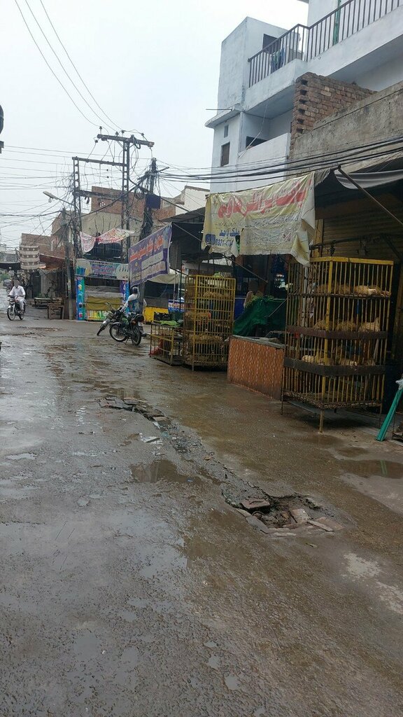 Egg and poultry meat Awan chicken sell center, Lahore, photo
