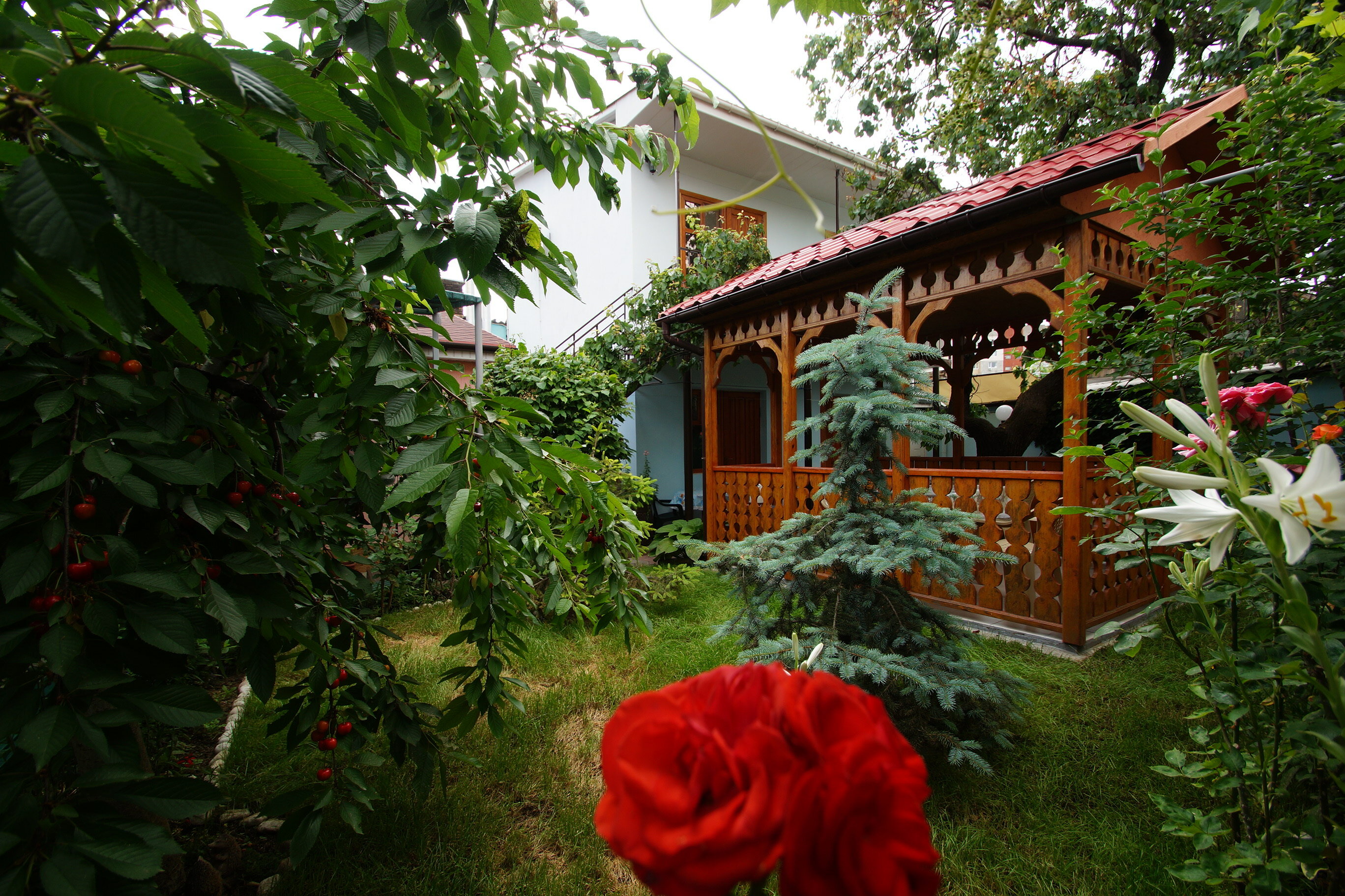 Фото Гостевой дом на Калинина Феодосия