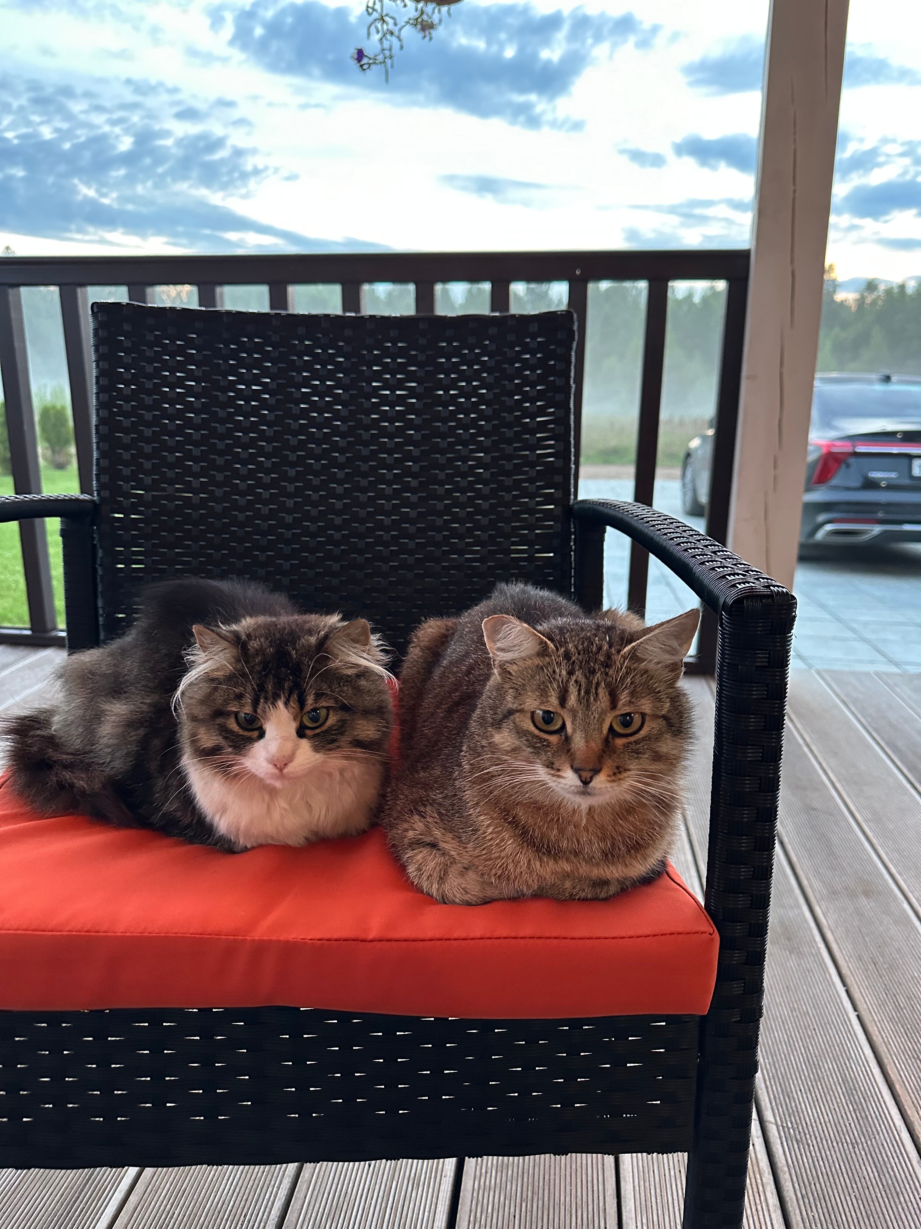 Фото Усадьба Кулаково