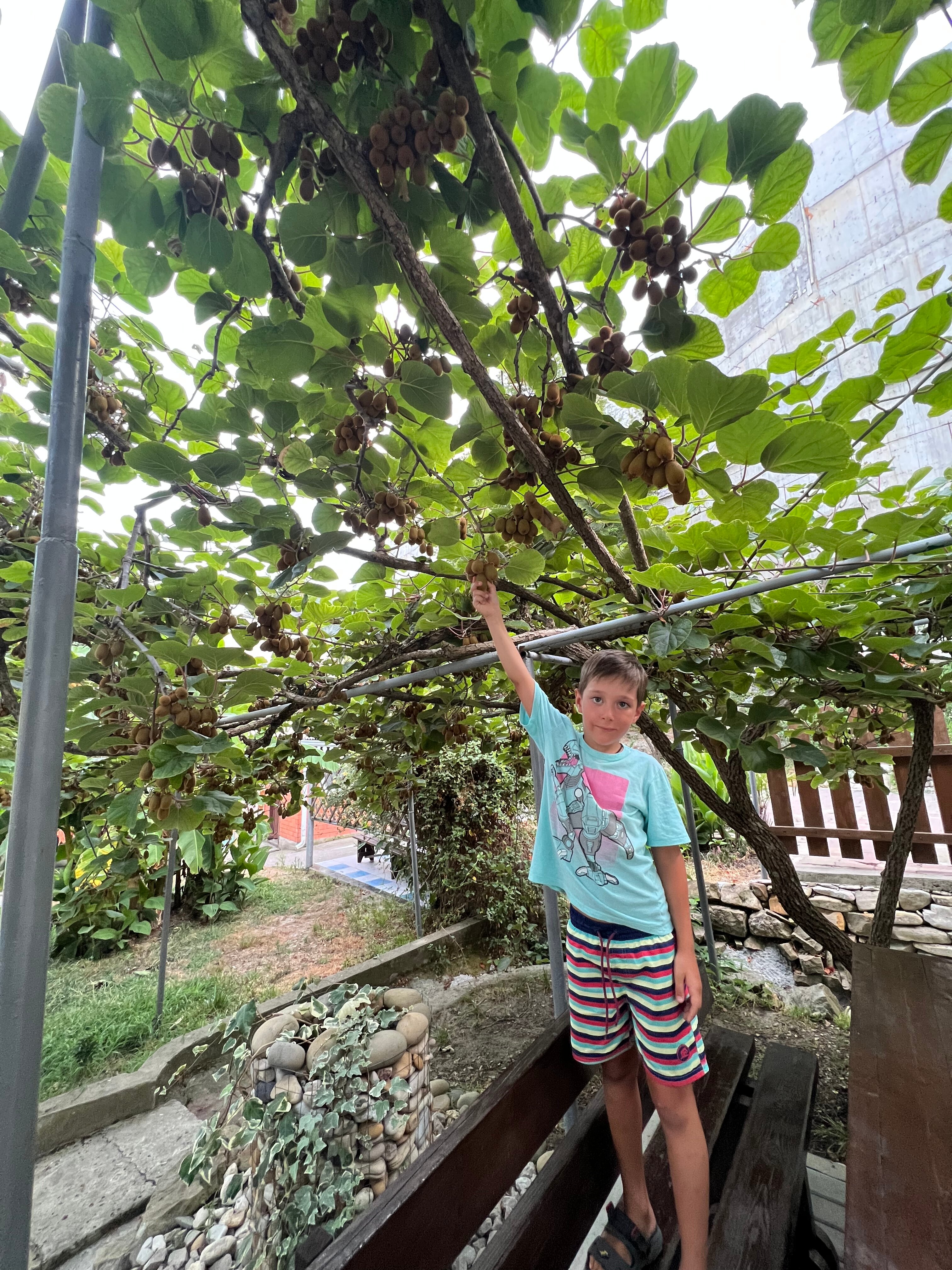 Фото Райский уголок