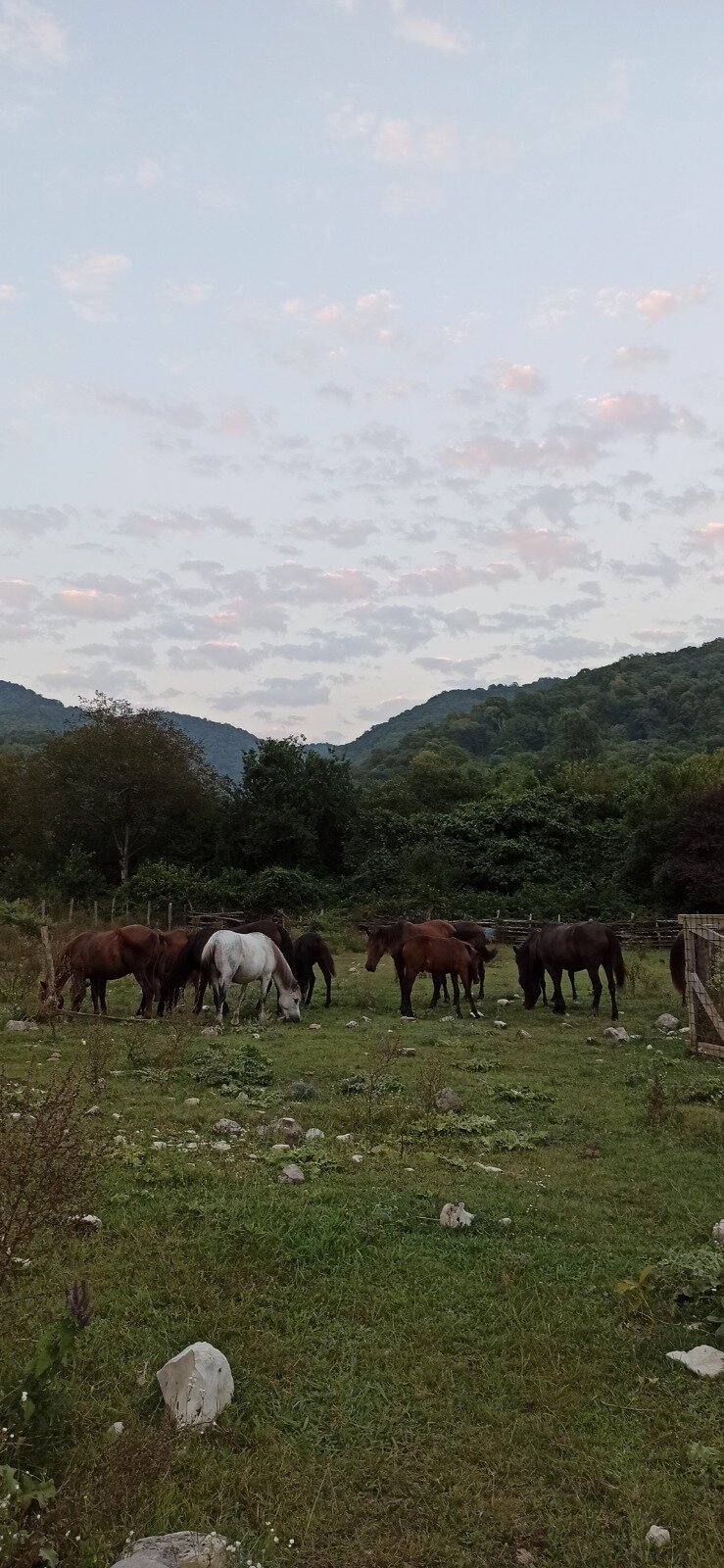 Фото Бунгало