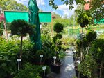ДимДим (Chulkovo Village, 1), garden center