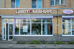 Tsvetomania (Turistskaya Street, 30к1), flower shop