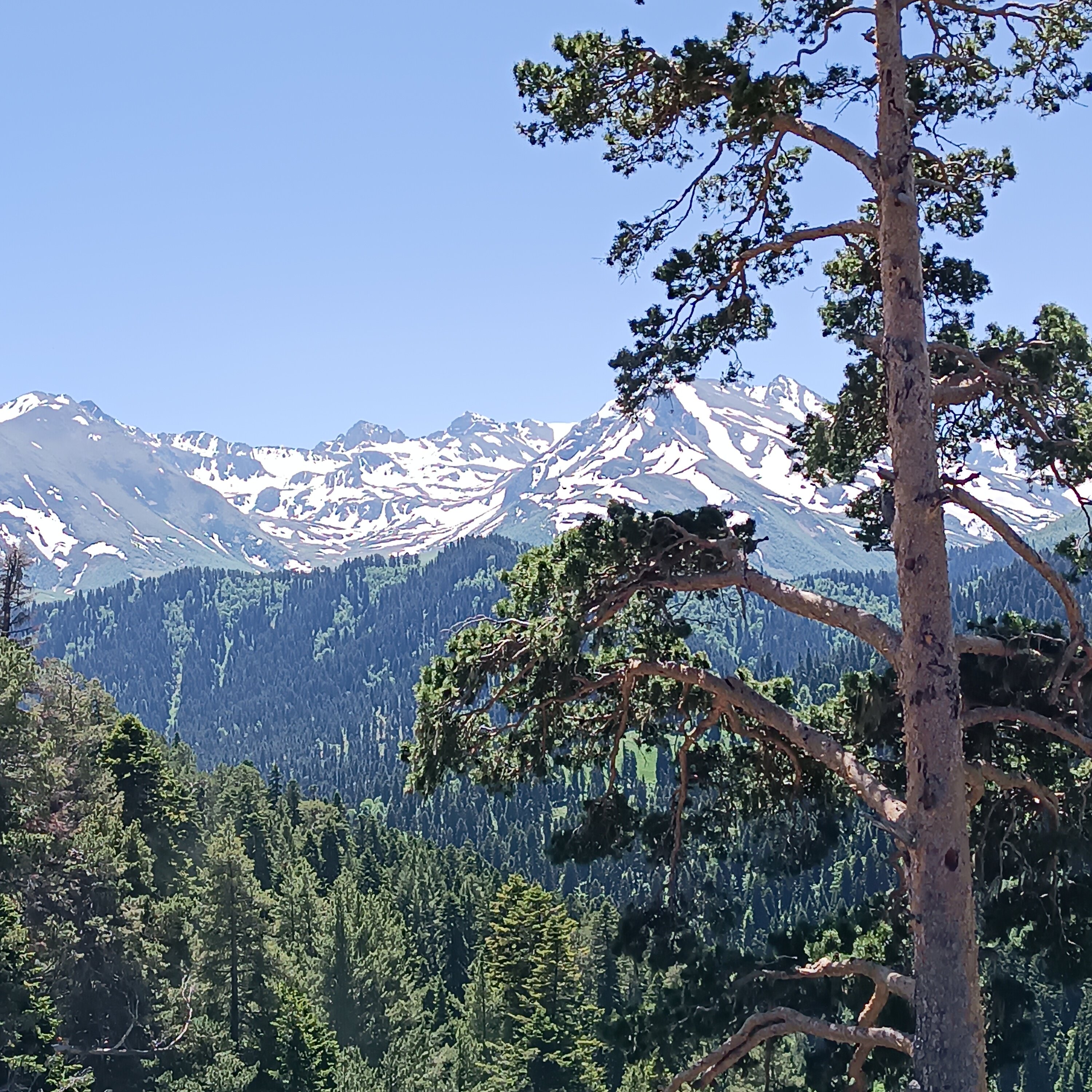 Фото Орлиное Поместье