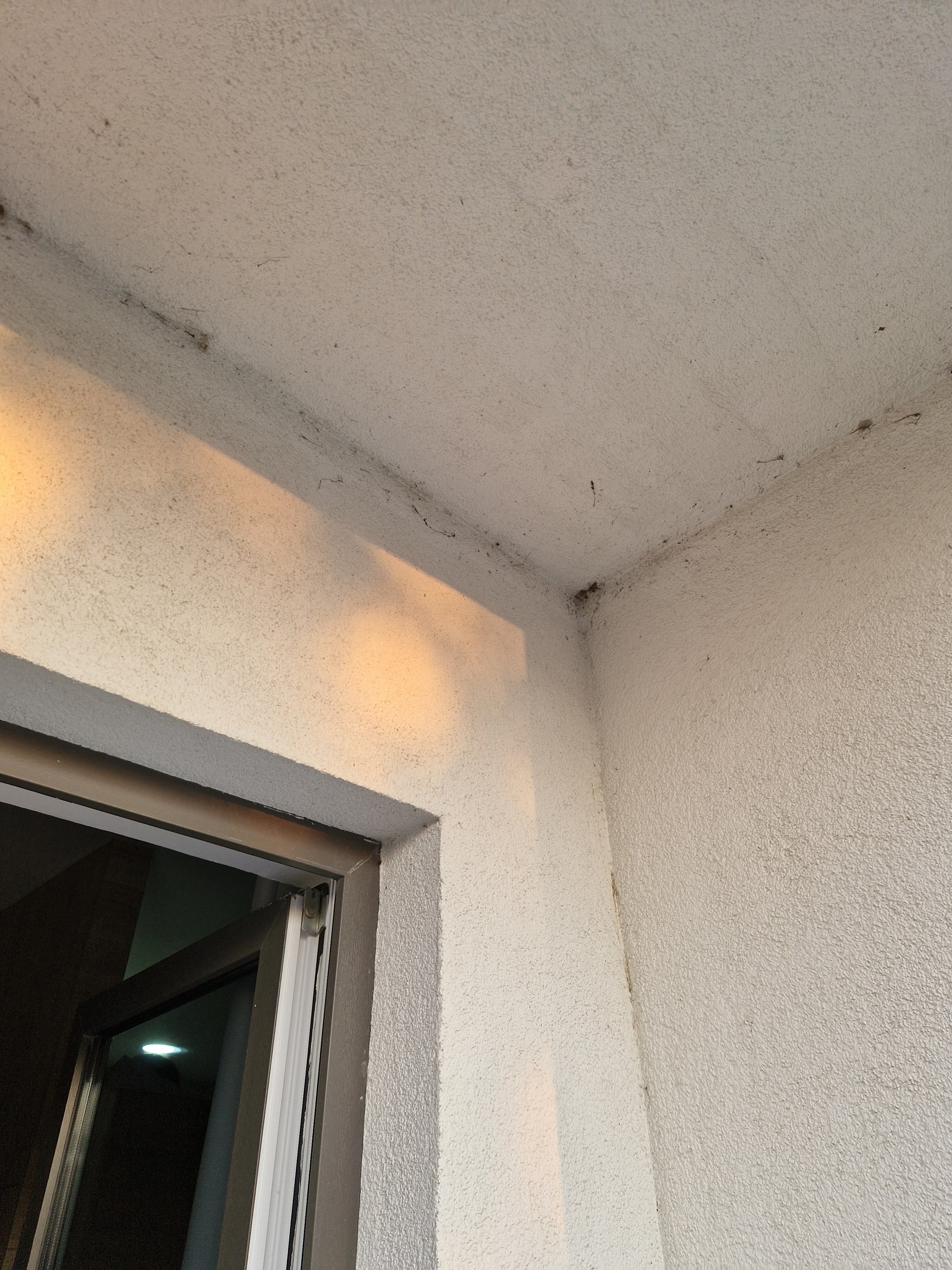 Фото White House