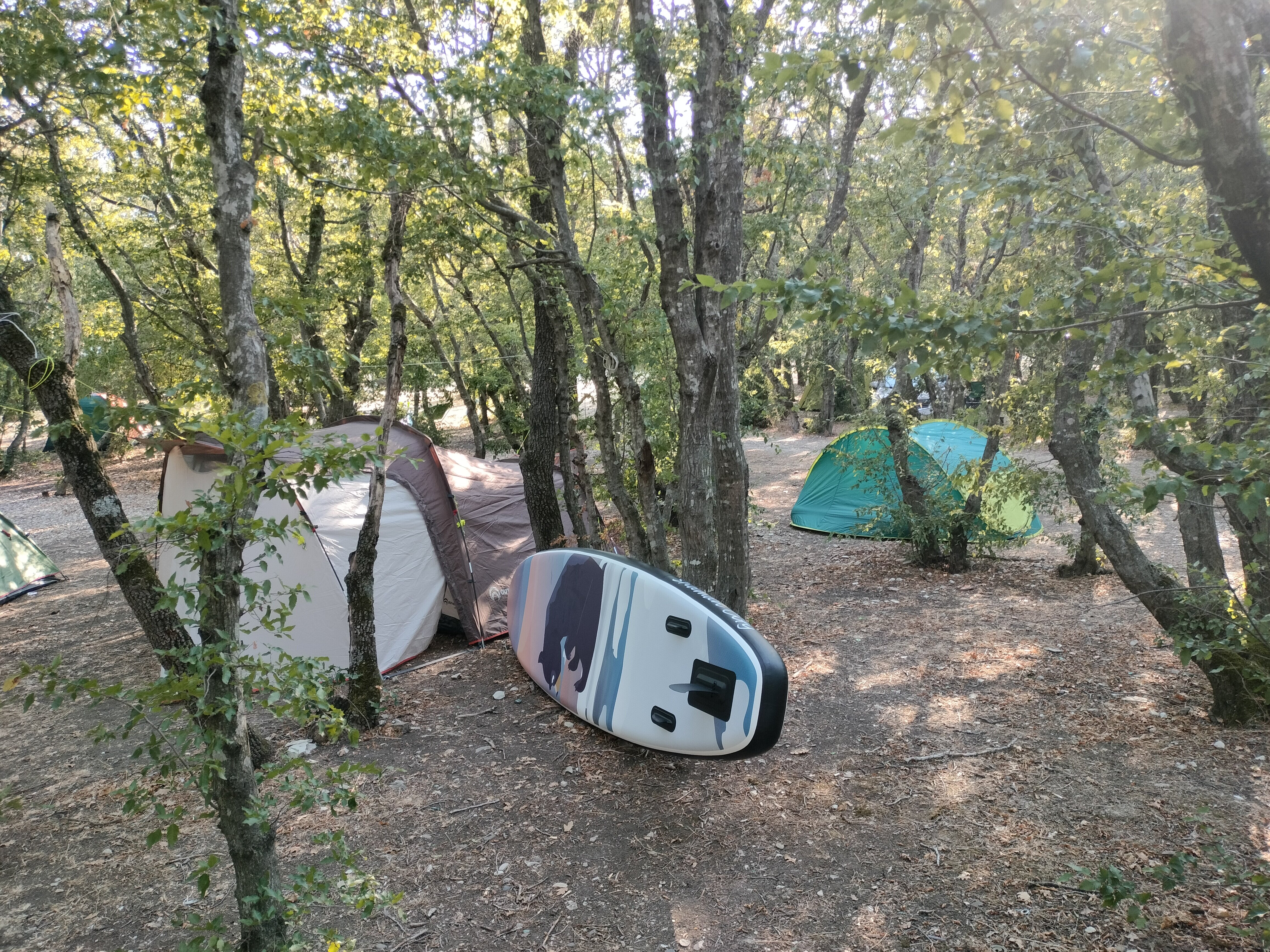 Фото Можжевеловая Роща