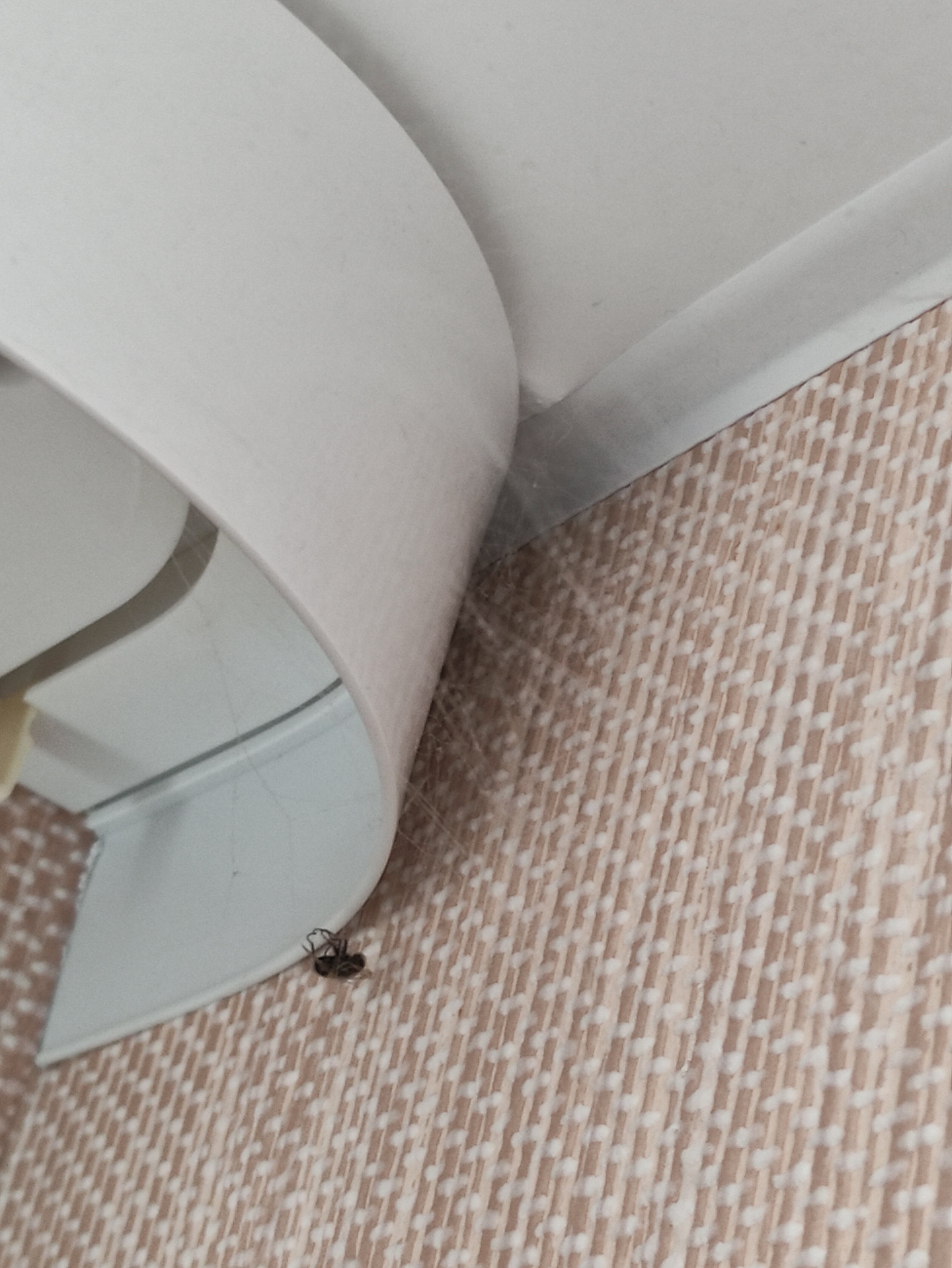 Фото Вятский дворик