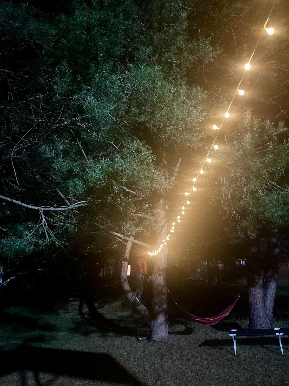 Фото Сумбулово