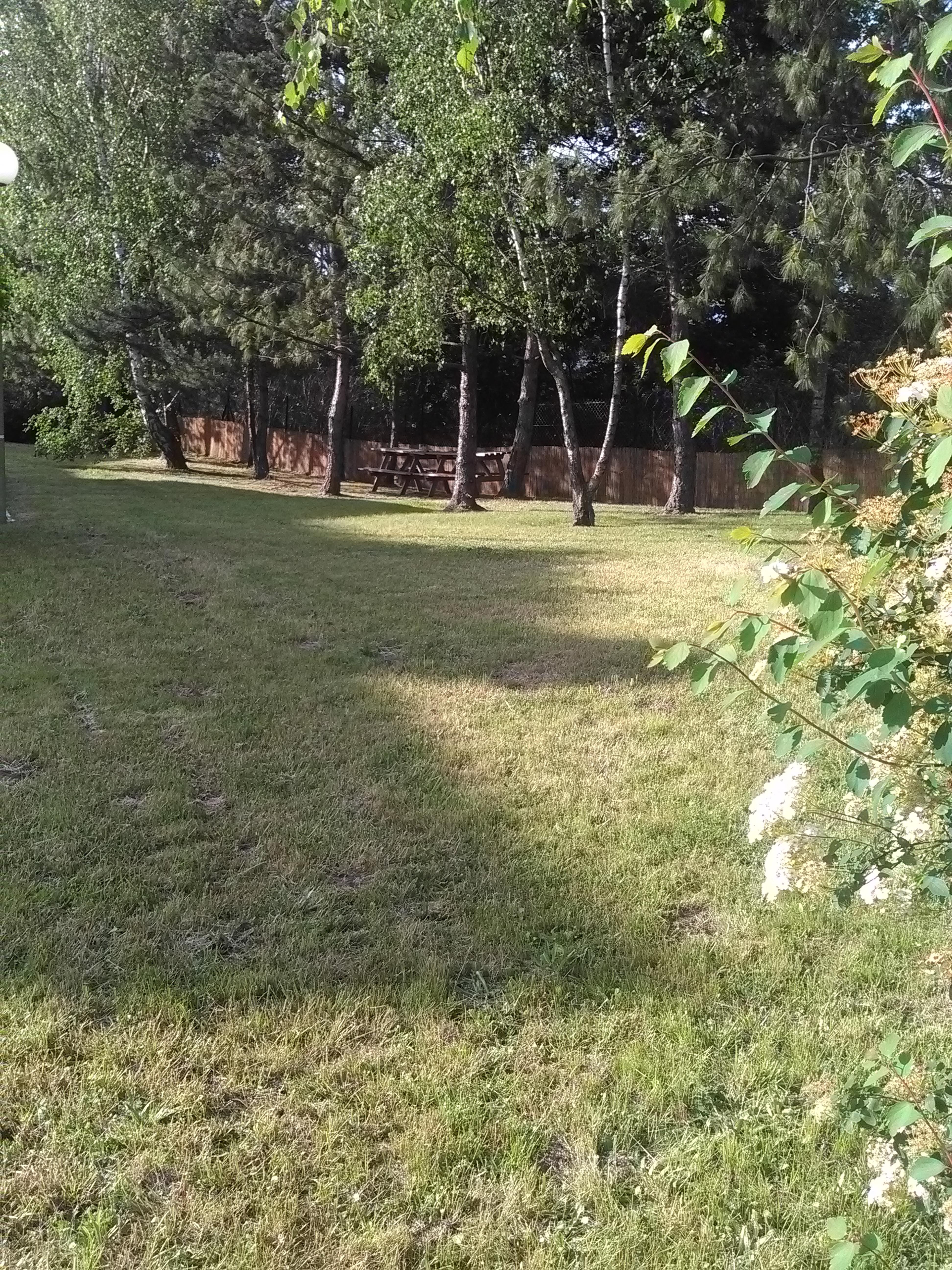 Фото Comfort Hotel Champigny Sur Marne