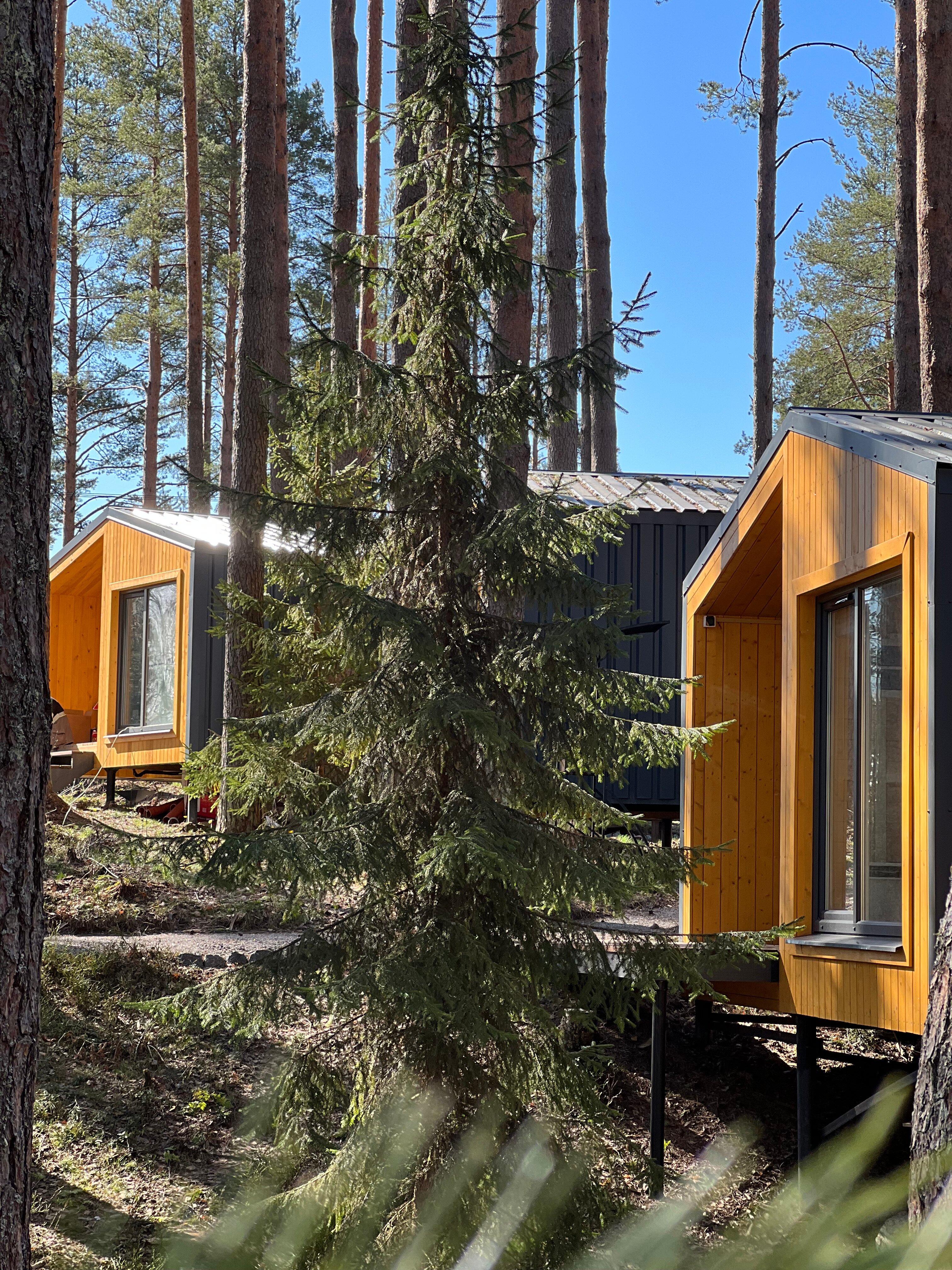 Фото Территория отдыха Лисички