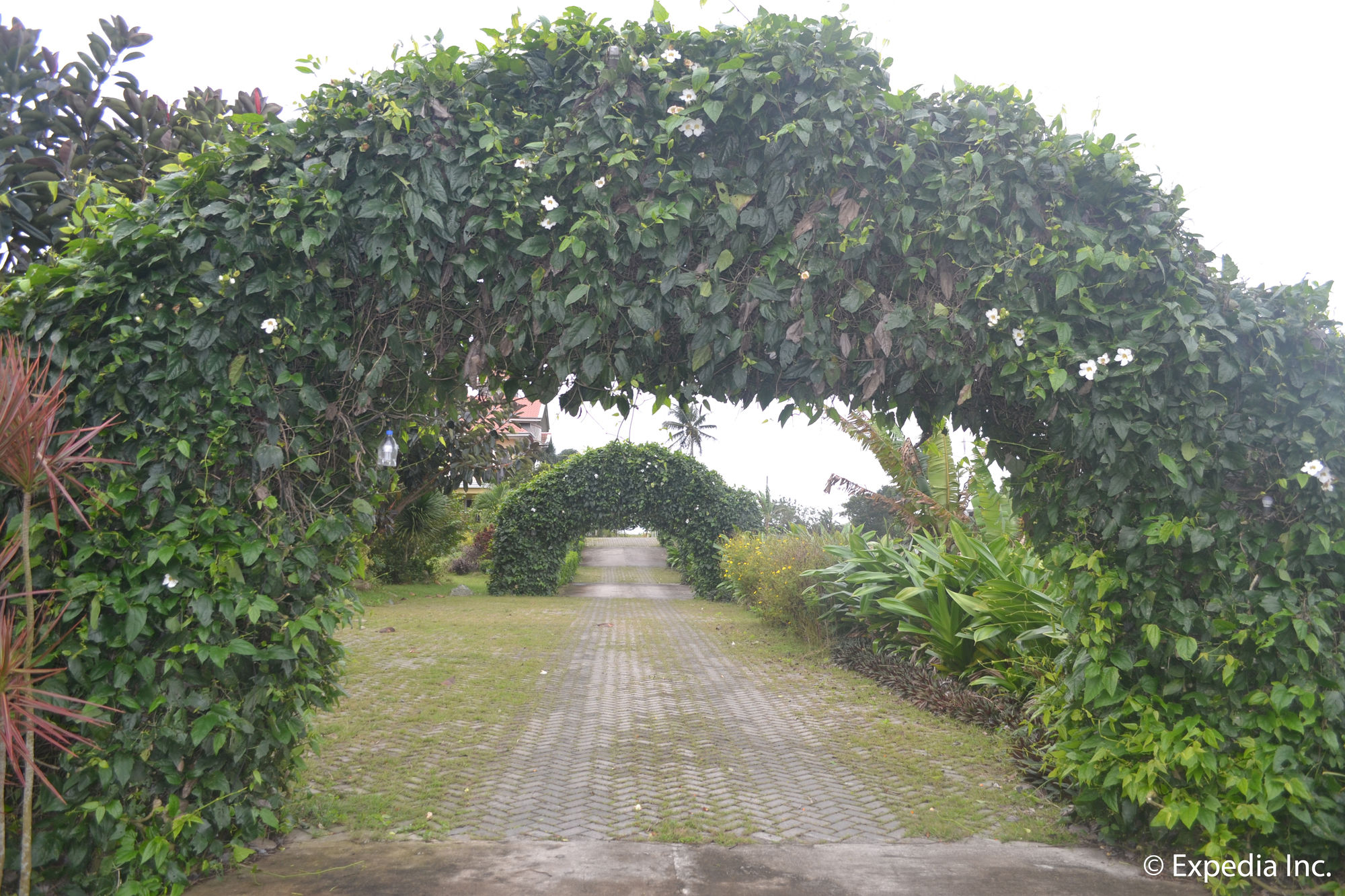 Фото The Q Hotel & Restaurant