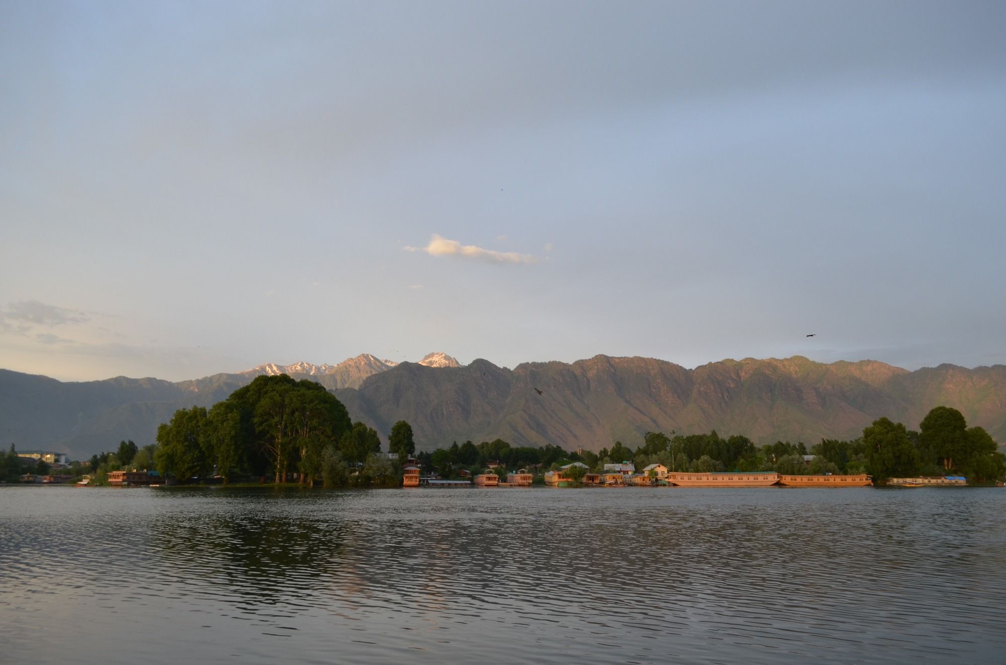 Фото Mascot Houseboats