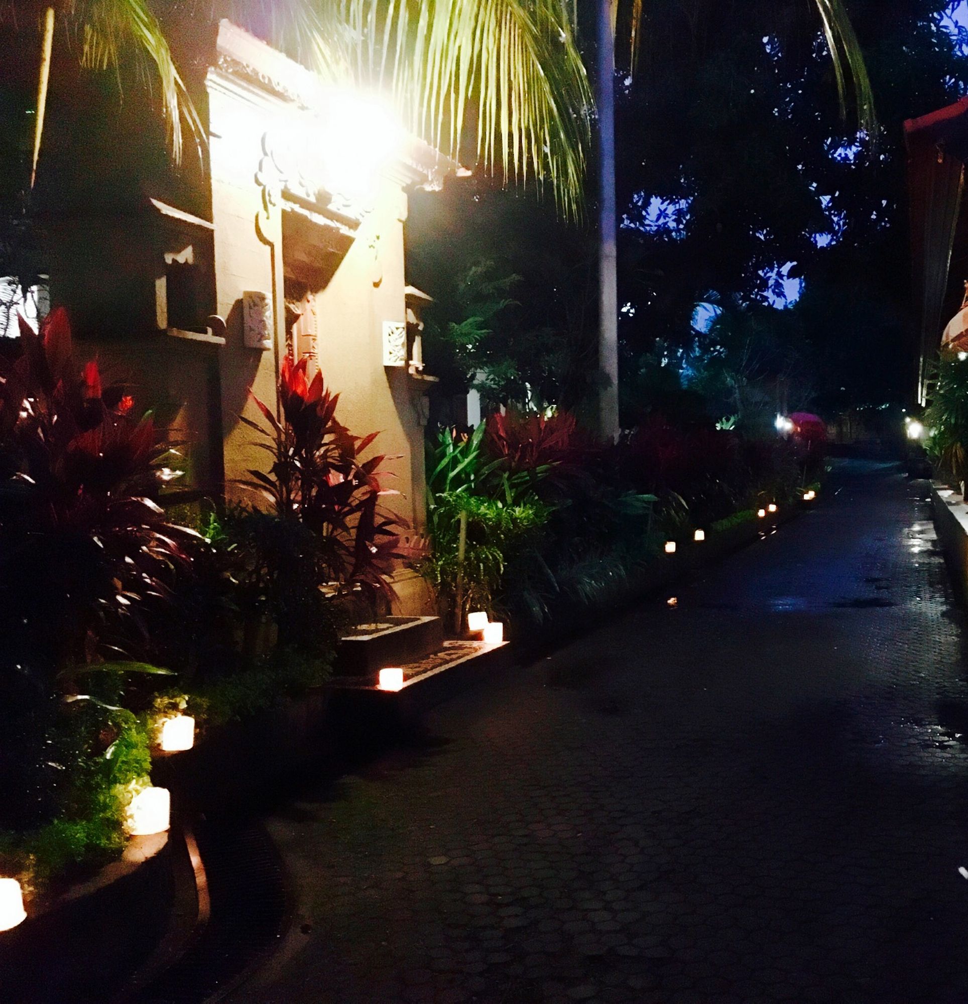 Фото Hotel Gianyar