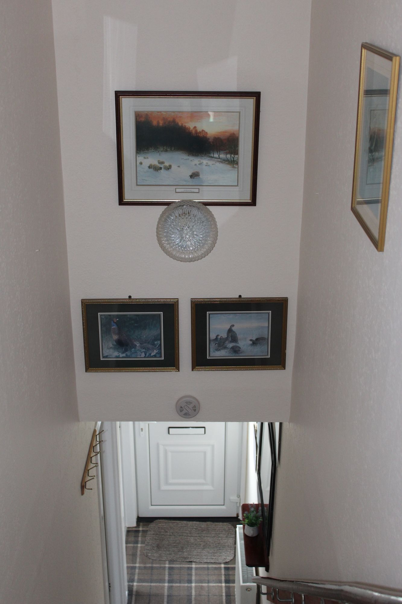 Фото Pitfaranne Guest House