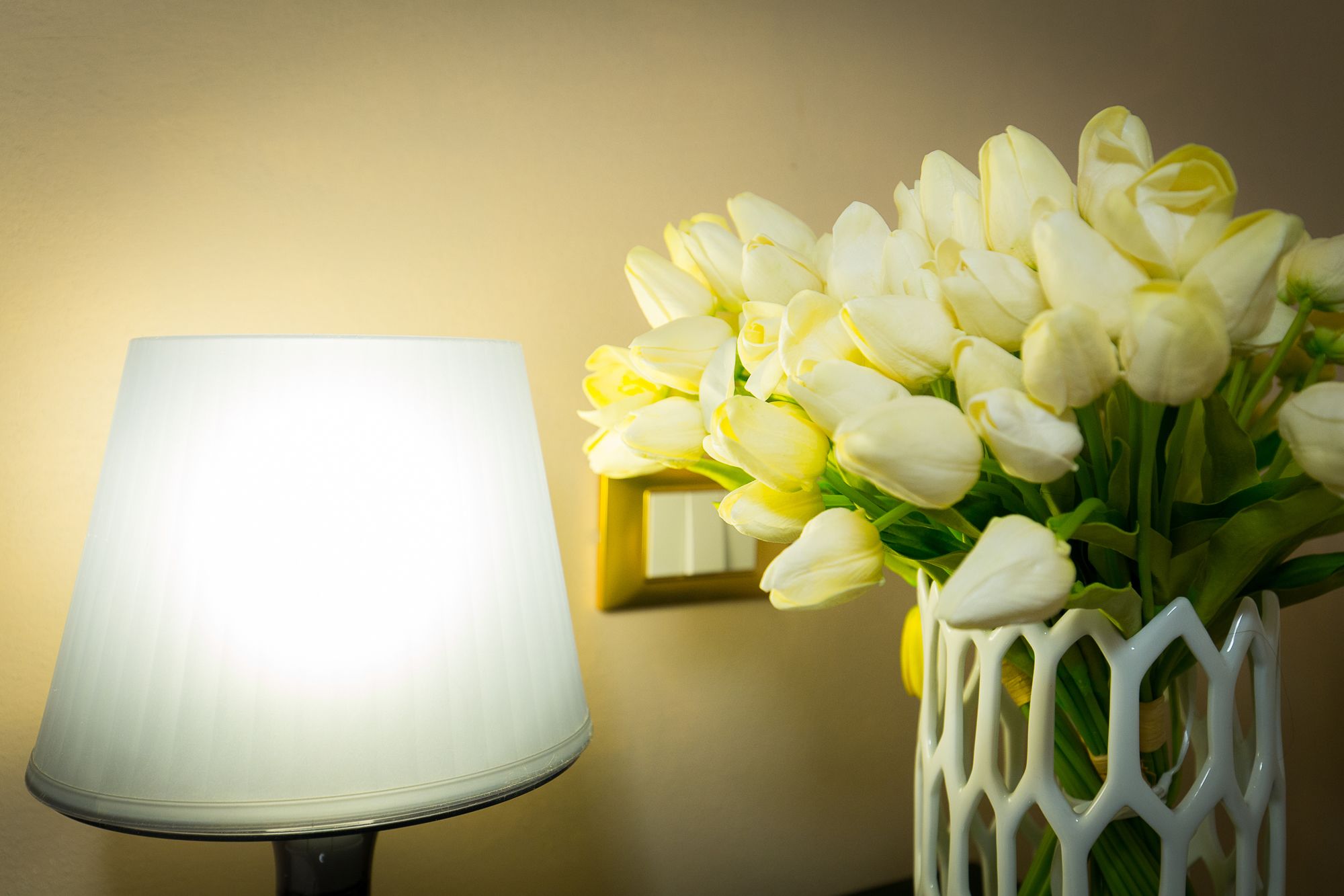 Фото Nerva Accommodation