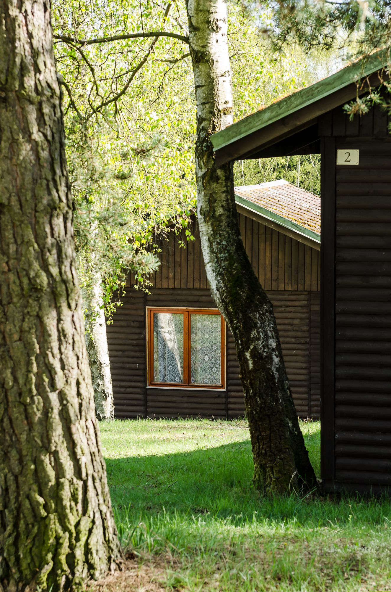 Фото Hotel Vitkova Hora