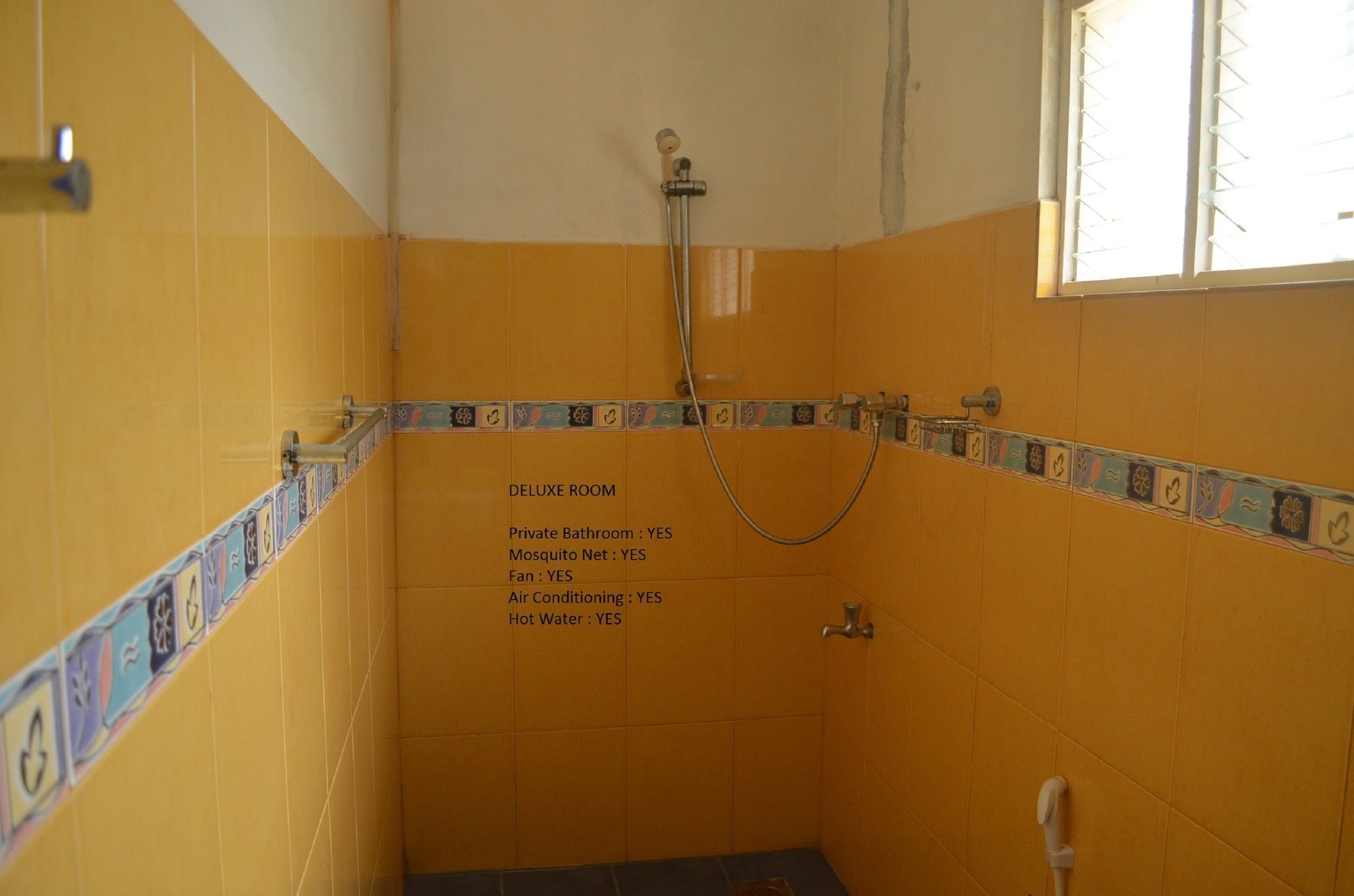 Фото Hotel Paradiso