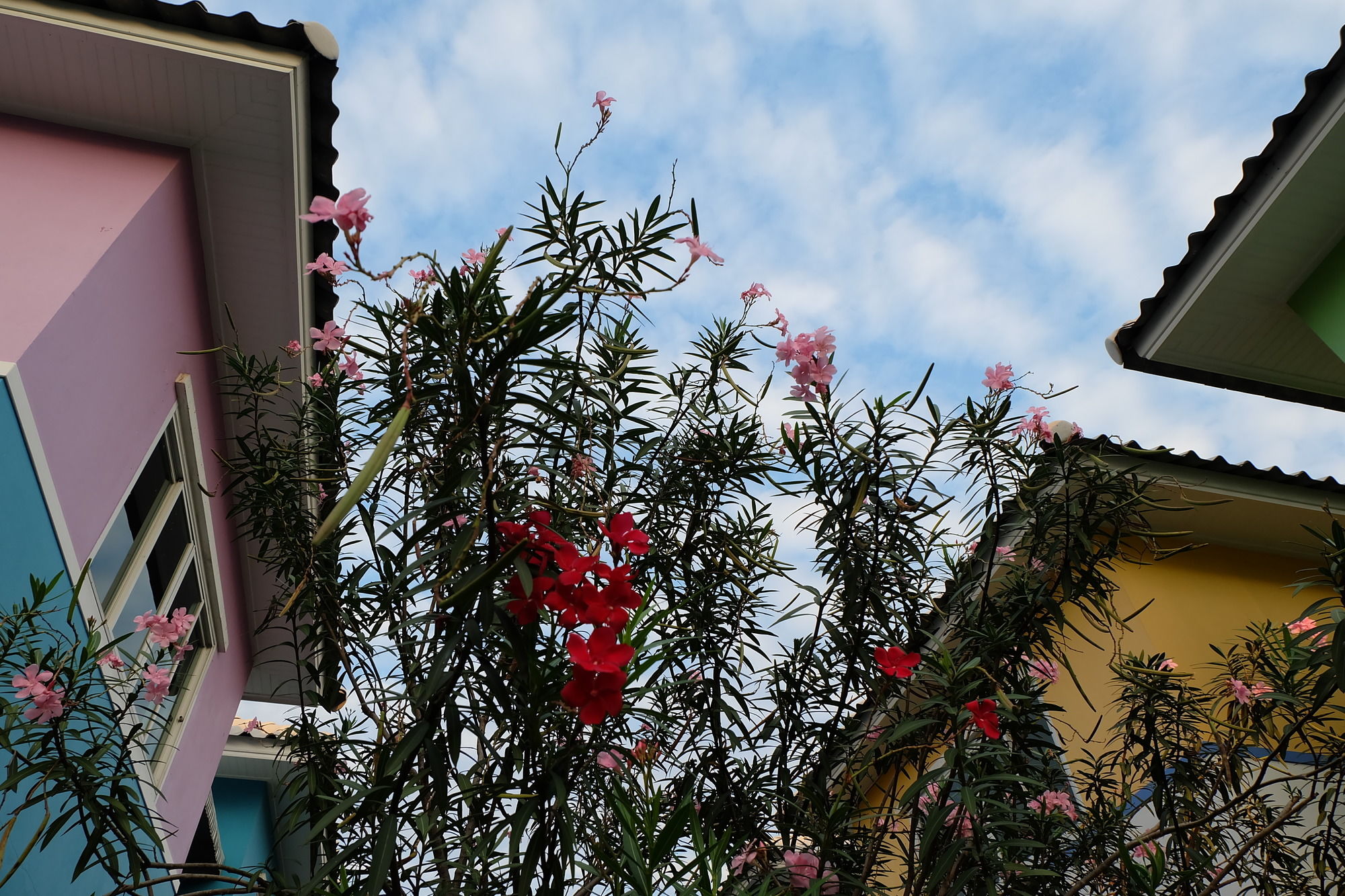 Фото Issara House Bangkok