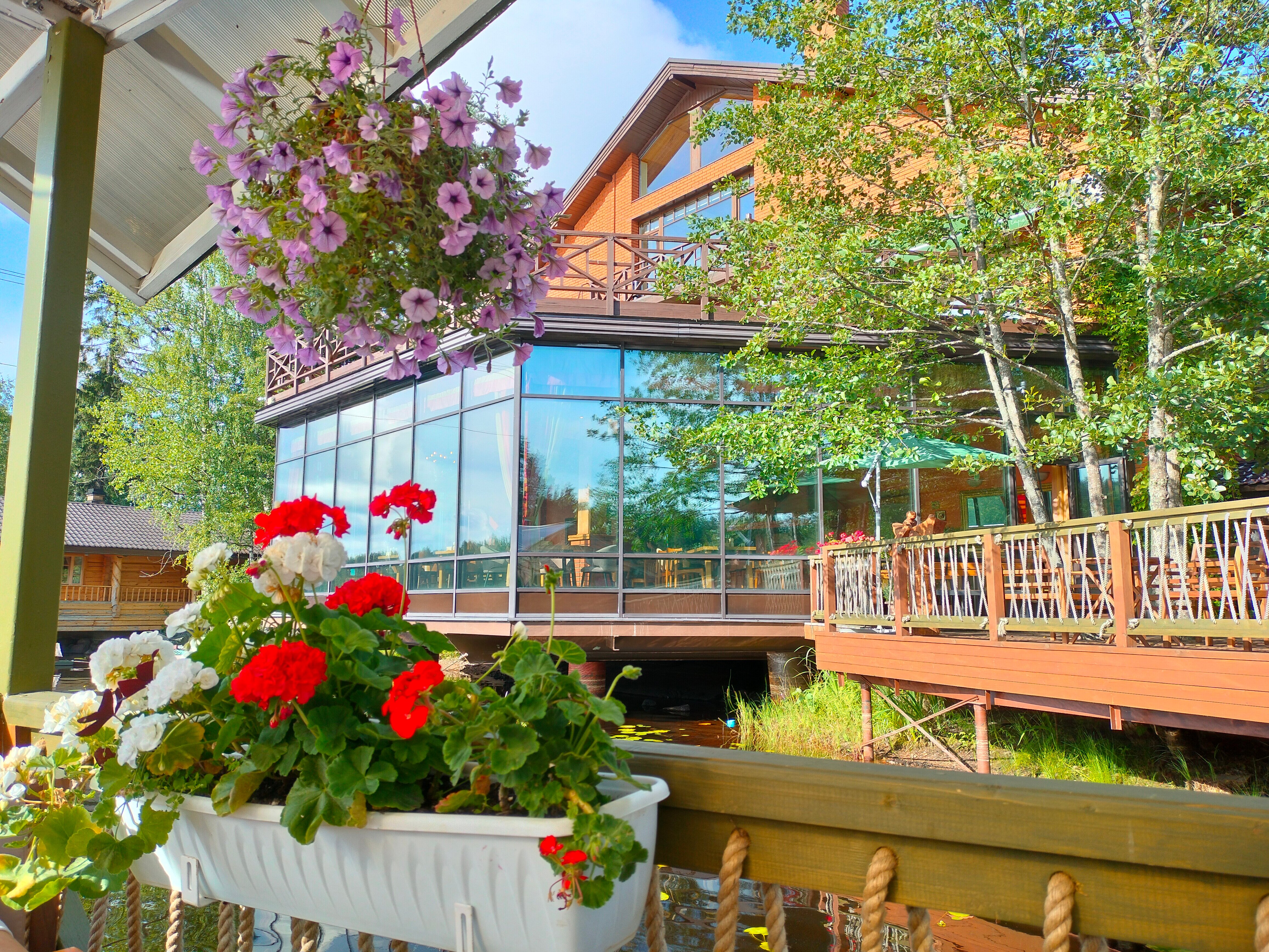 Фото Тапиола