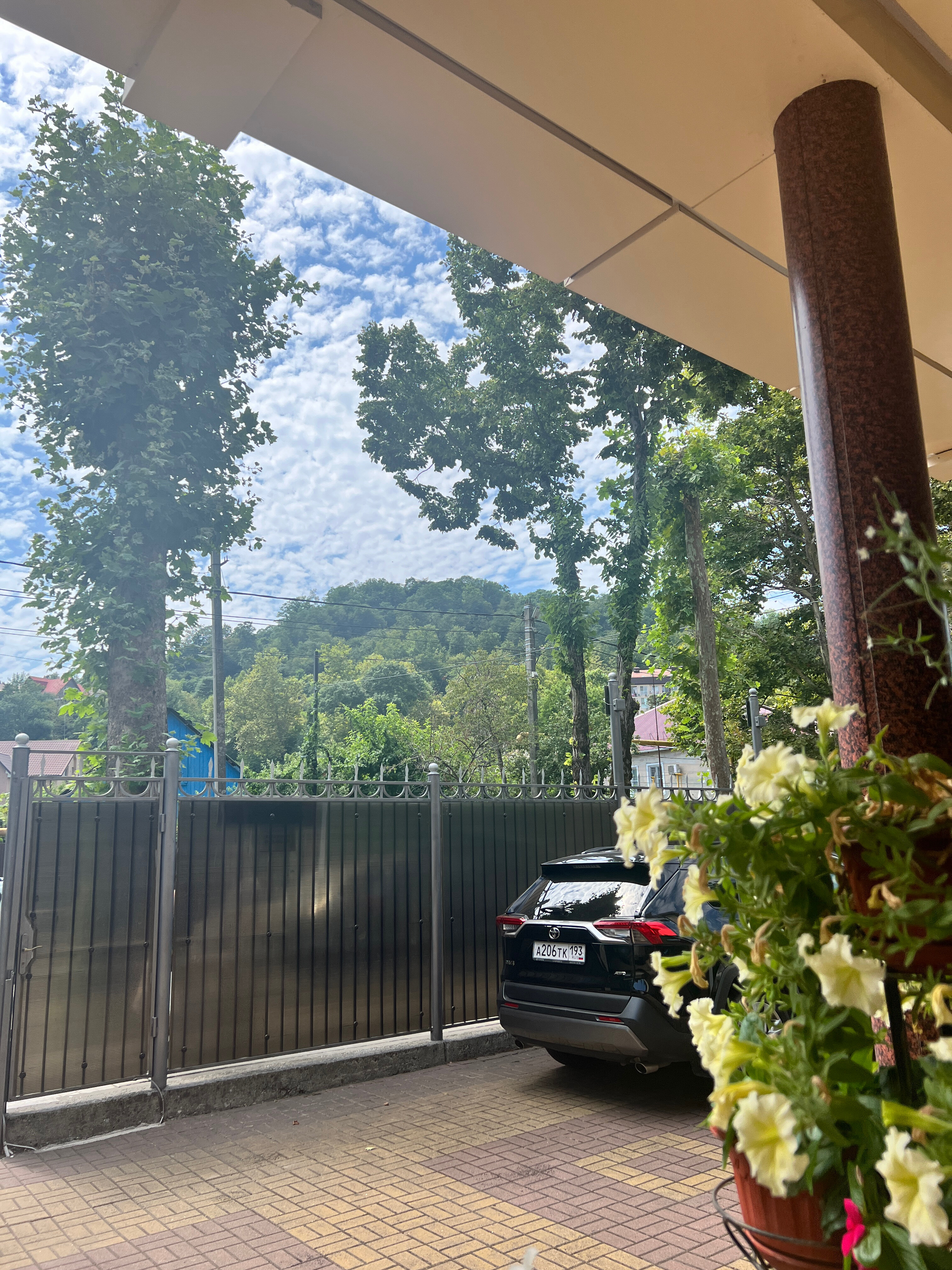 Фото Алая Роза