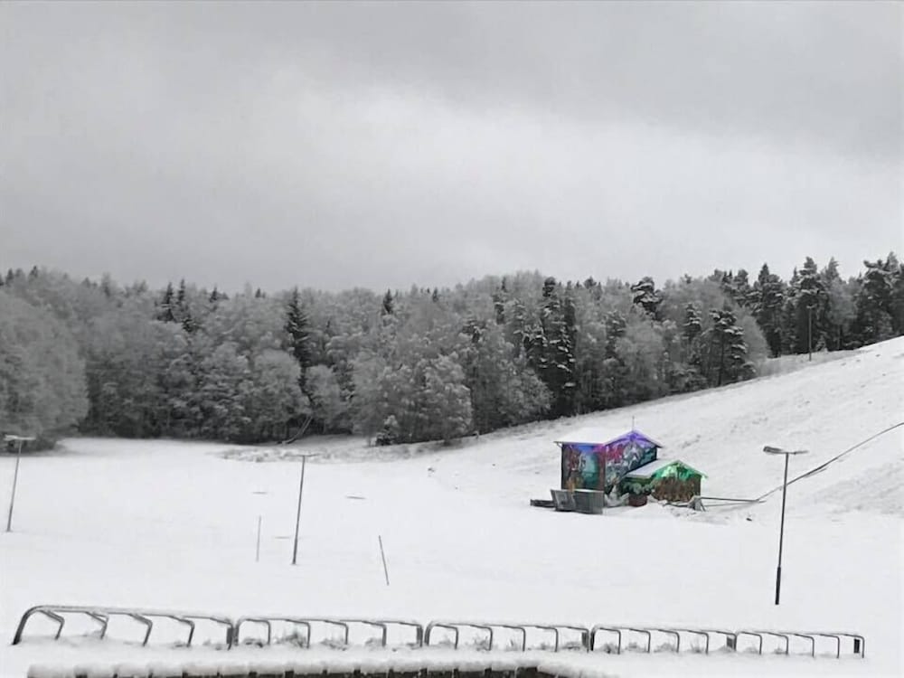 Фото Sure Hotel by Best Western Vilsta Sporthotell