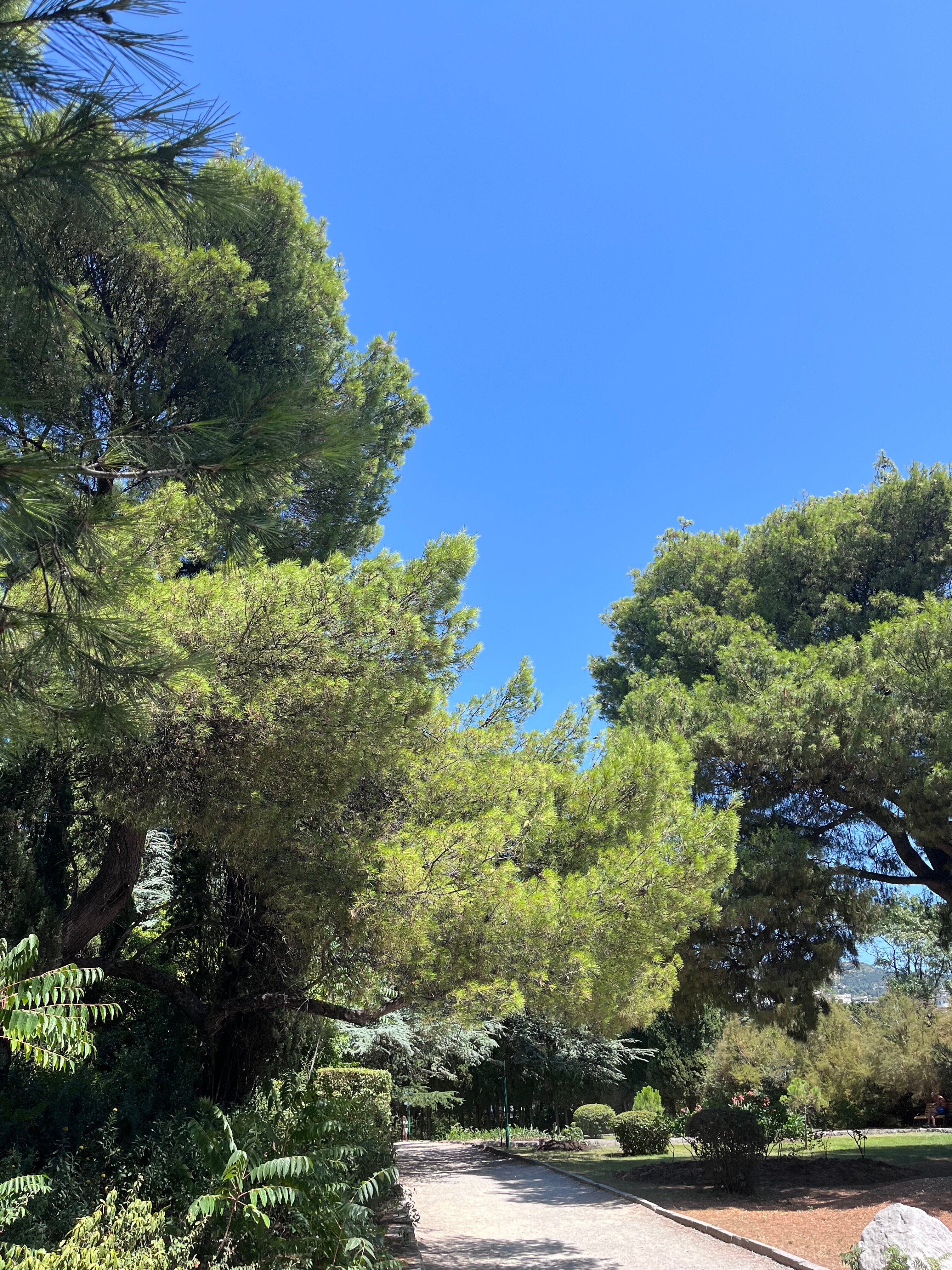 Фото Коктейль