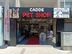 Street Pet Shop (Izmir, Karsiyaka, Bahriye Ucok Neighborhood, Ataturk Boulevard, 20), pet shop