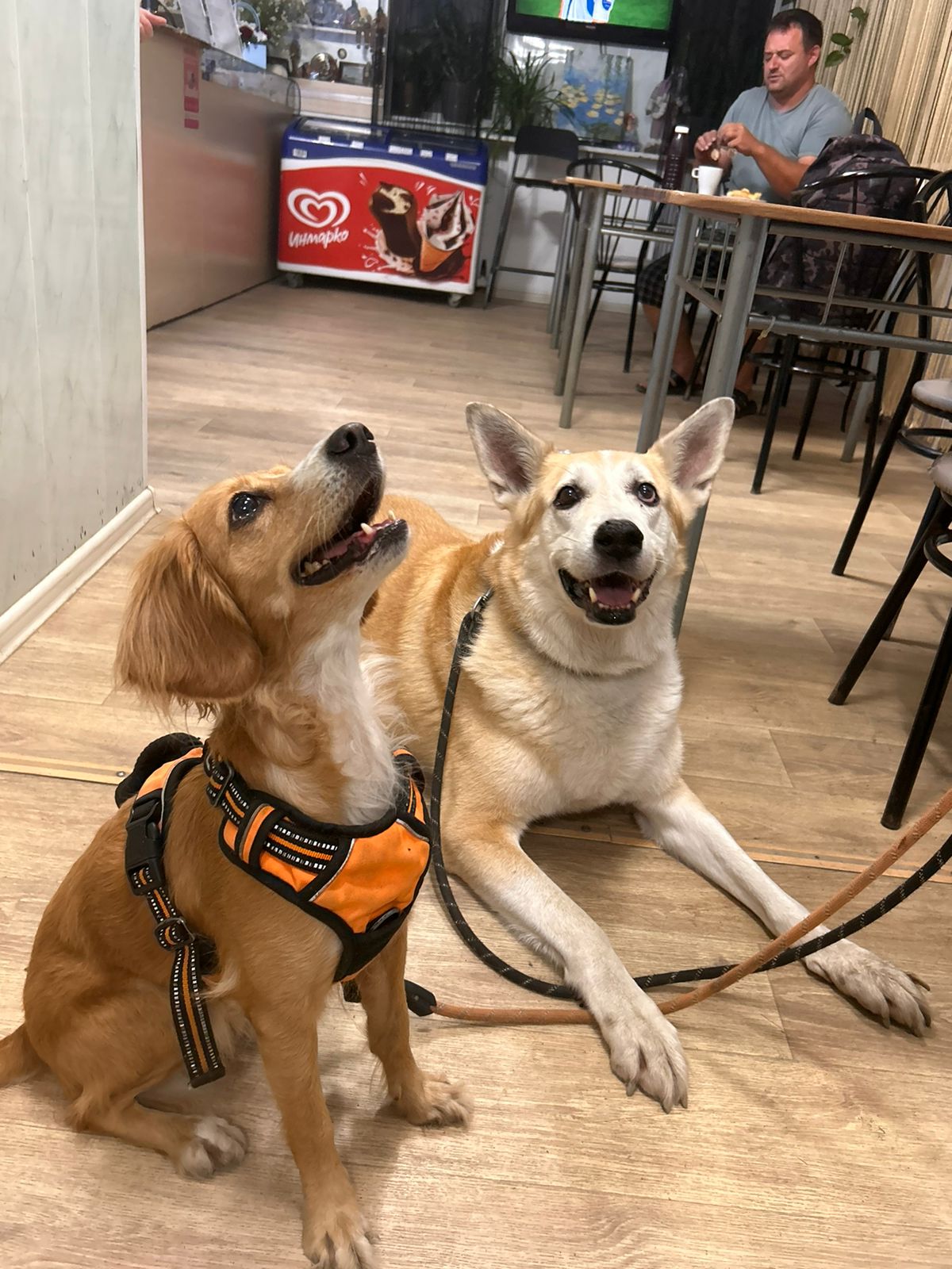 Фото Белый Орёл