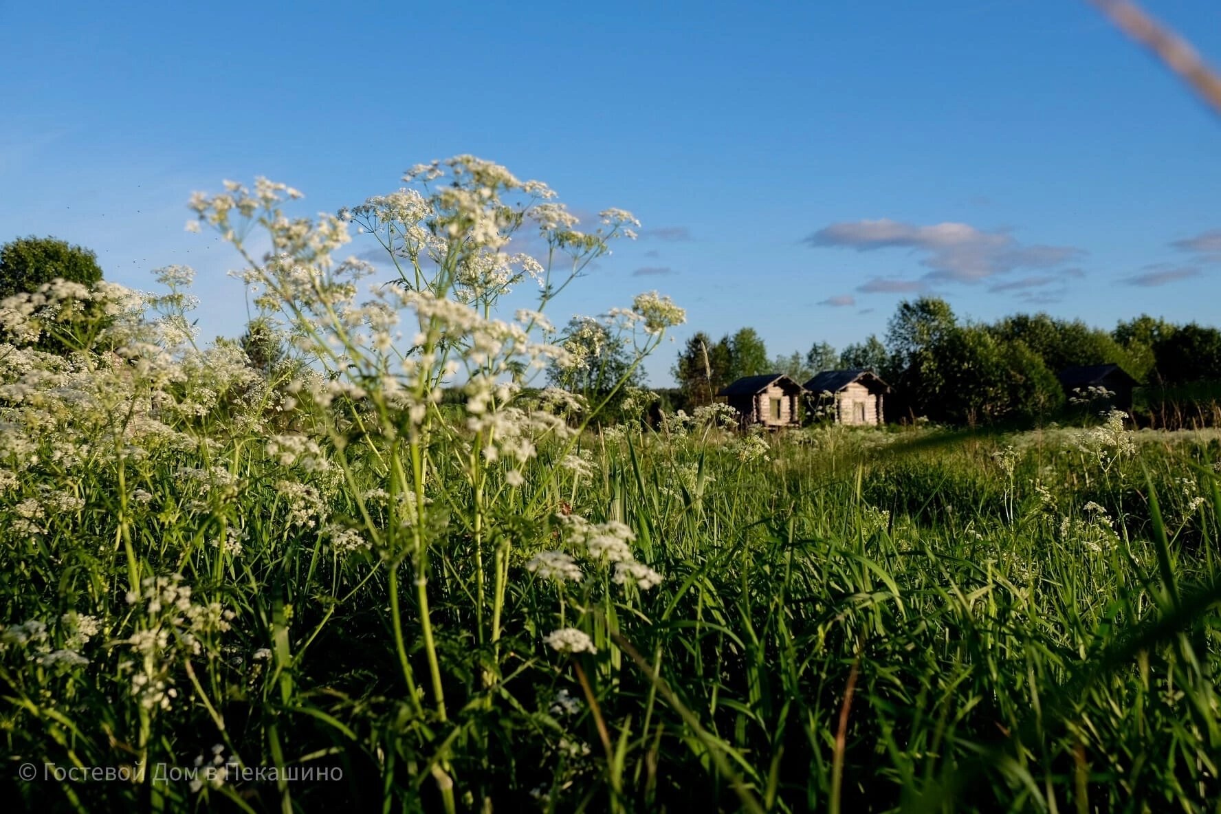 Фото Гостевой Дом в Пекашино