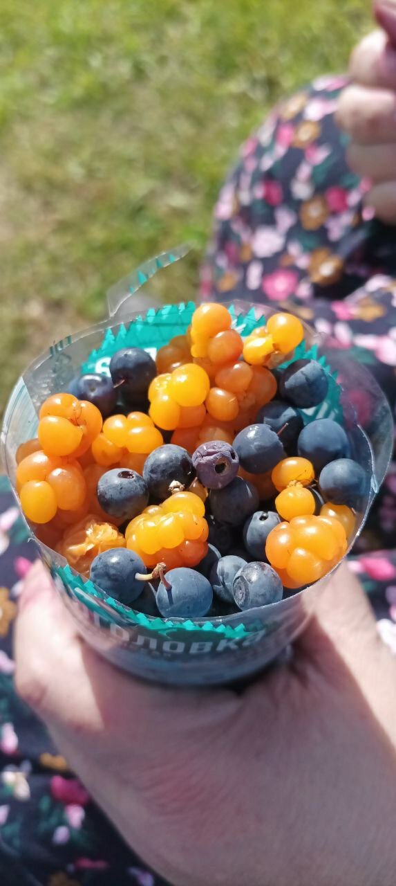 Фото Хутор Варяжский