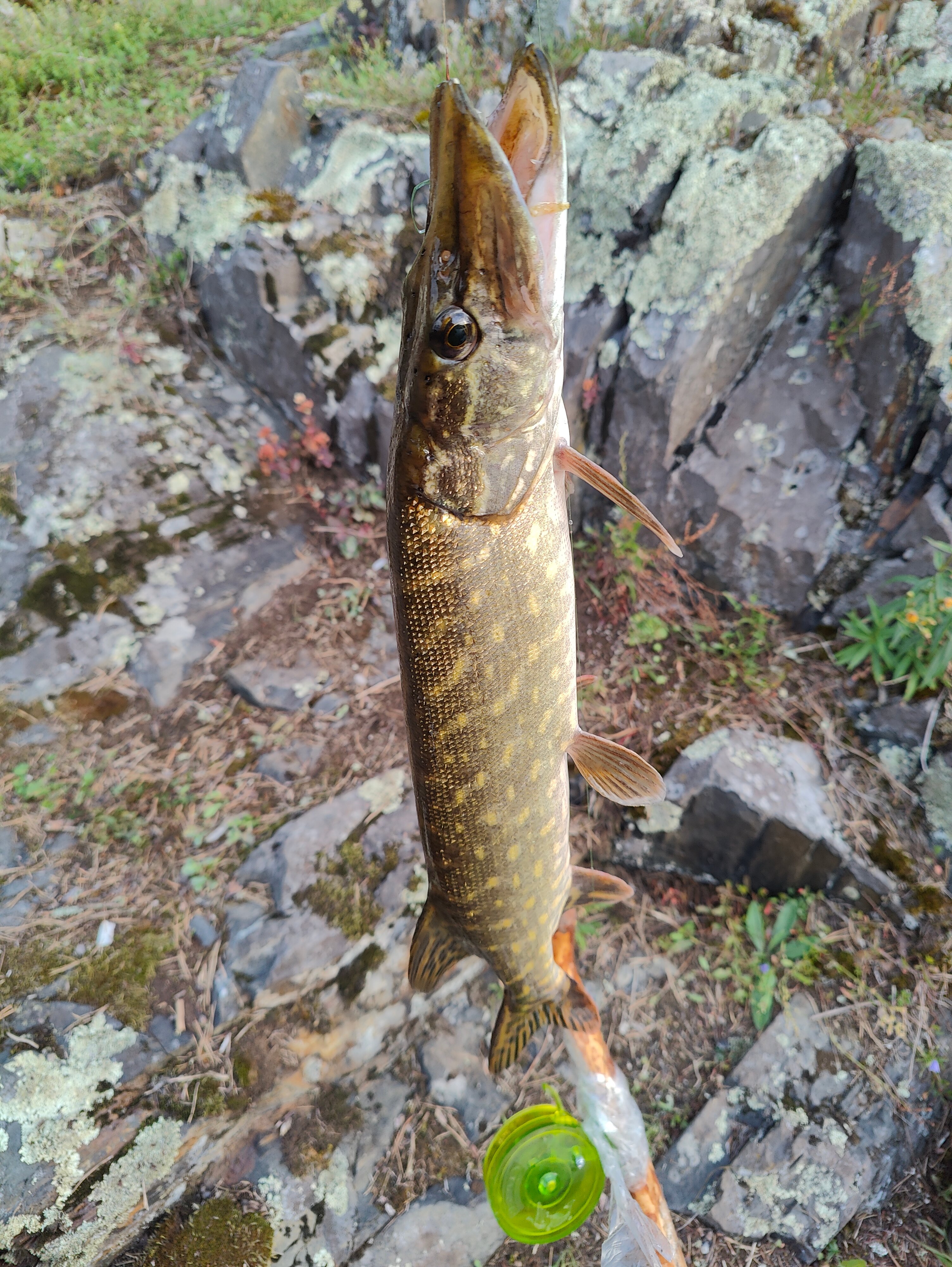 Фото Релакс на Ладоге
