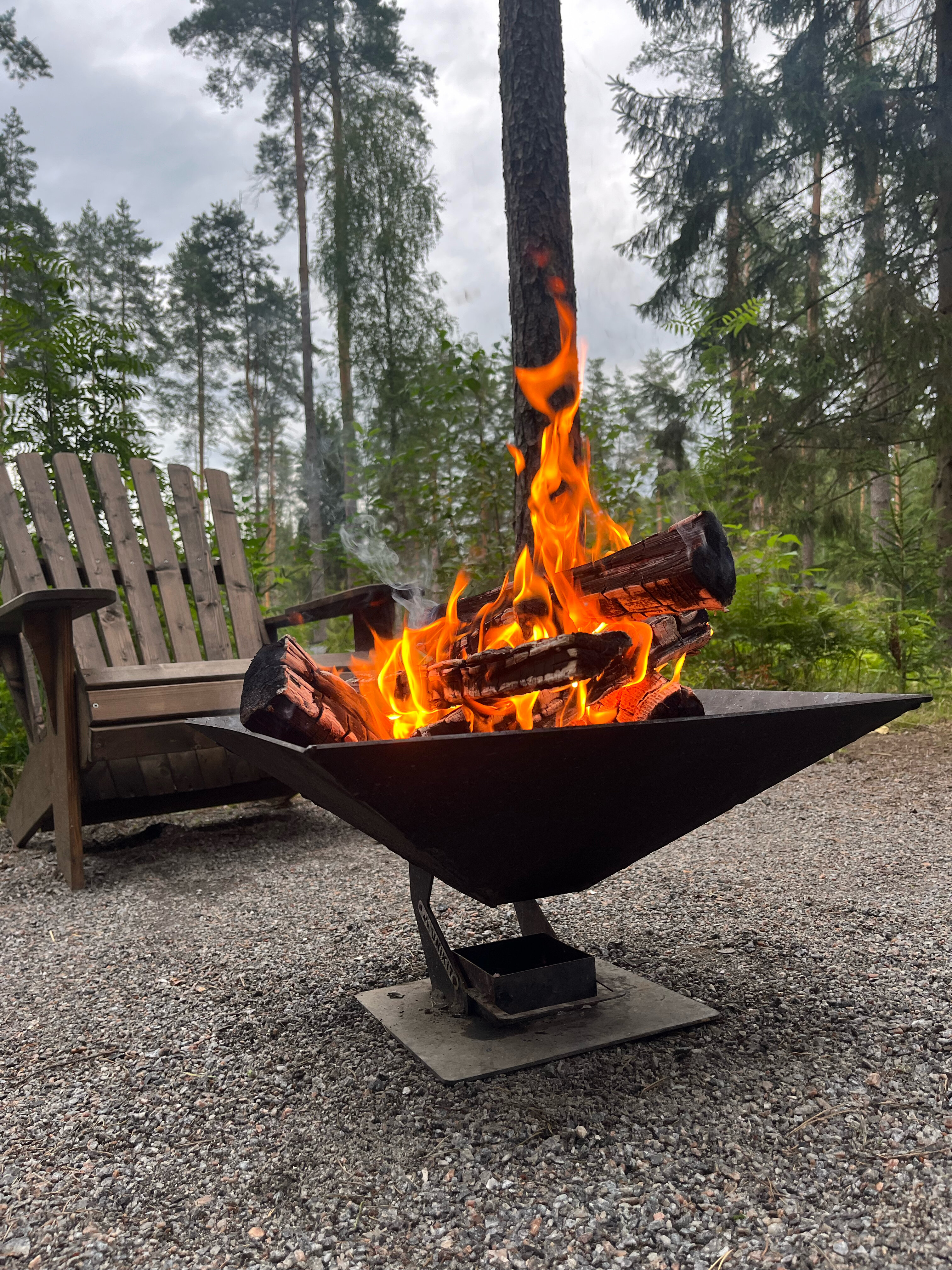 Фото Территория отдыха Лисички