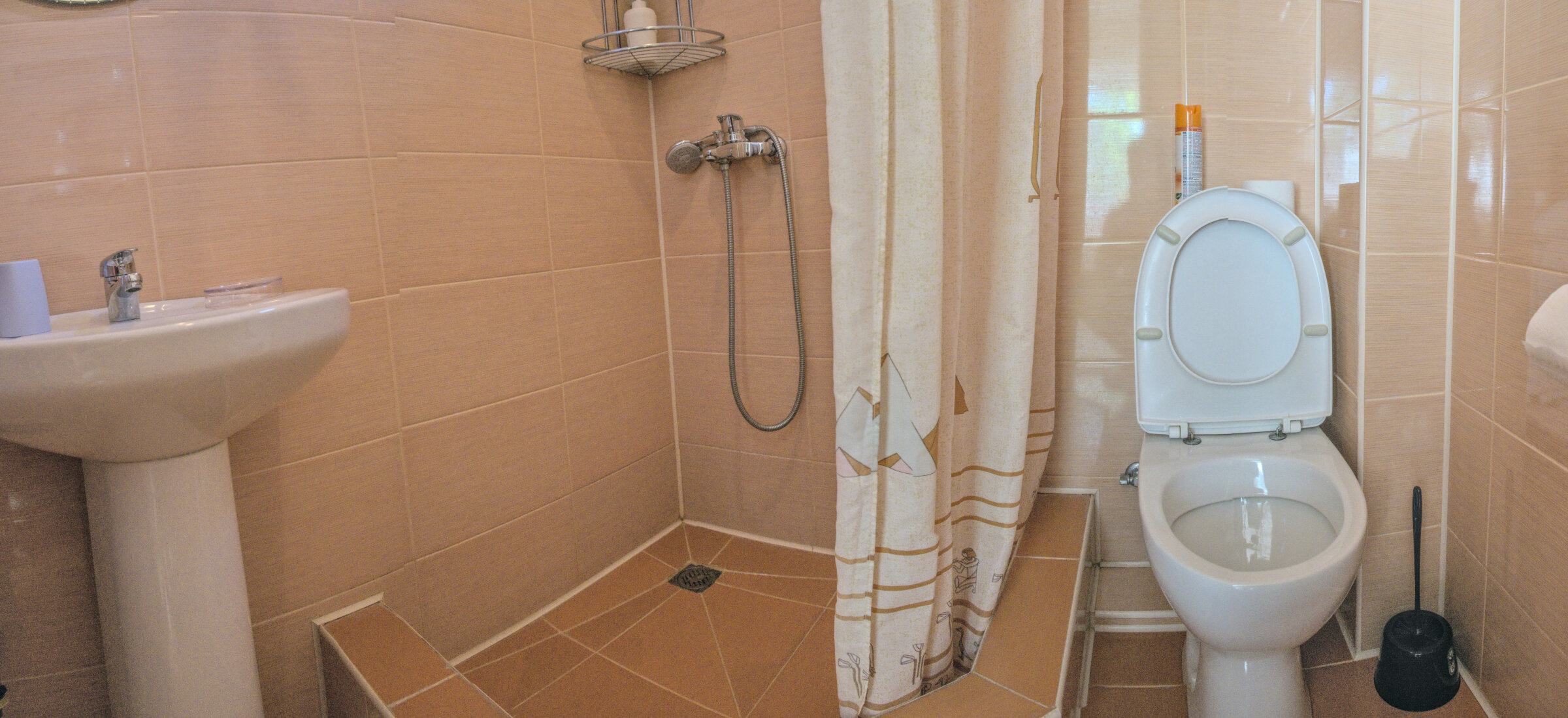 Фото Виноградная лестница