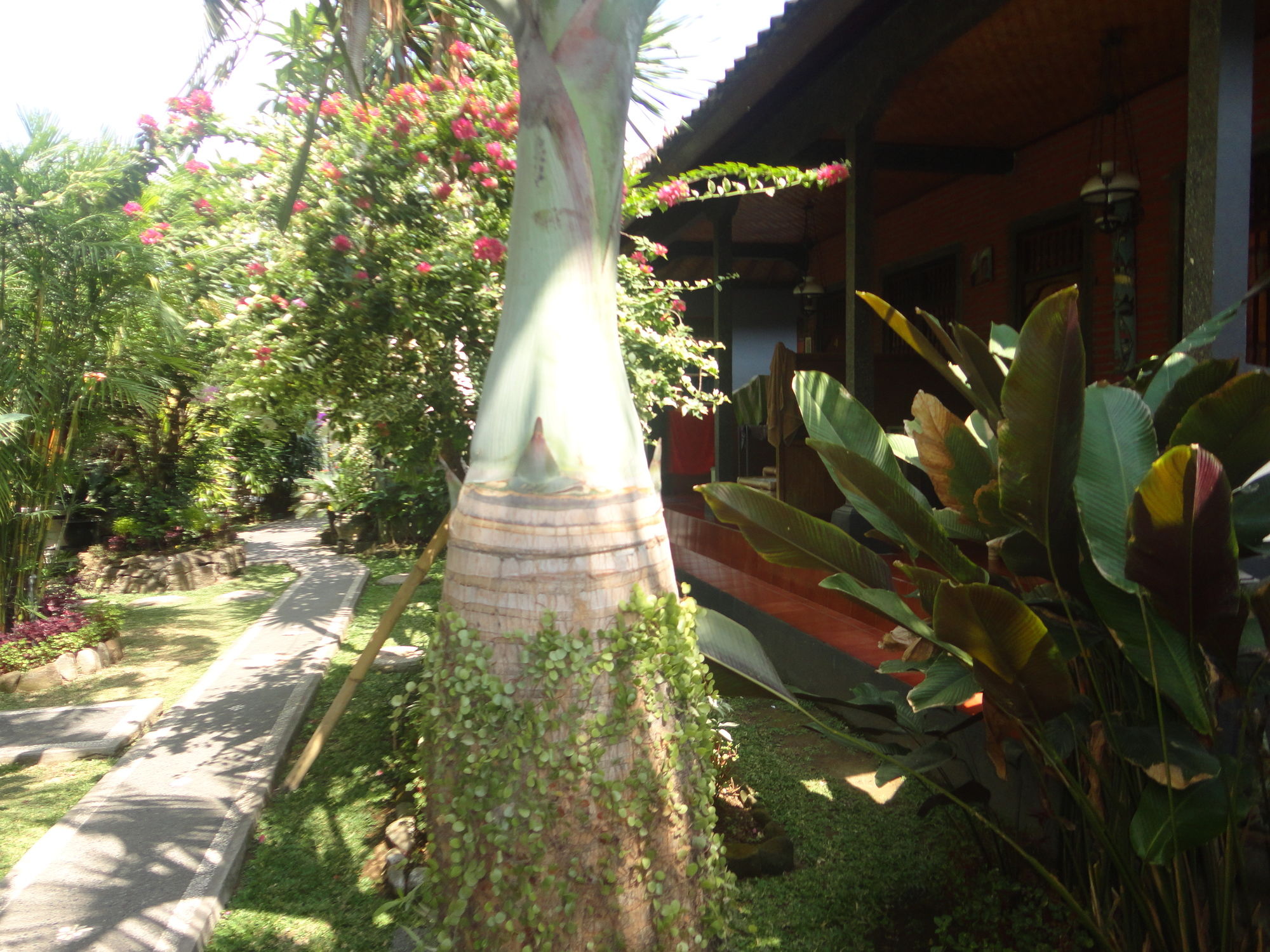 Фото Puri Cantik Bungalow