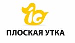 Ploskaya utka (Gogolya Street, 87) ، شركات البرمجيات
