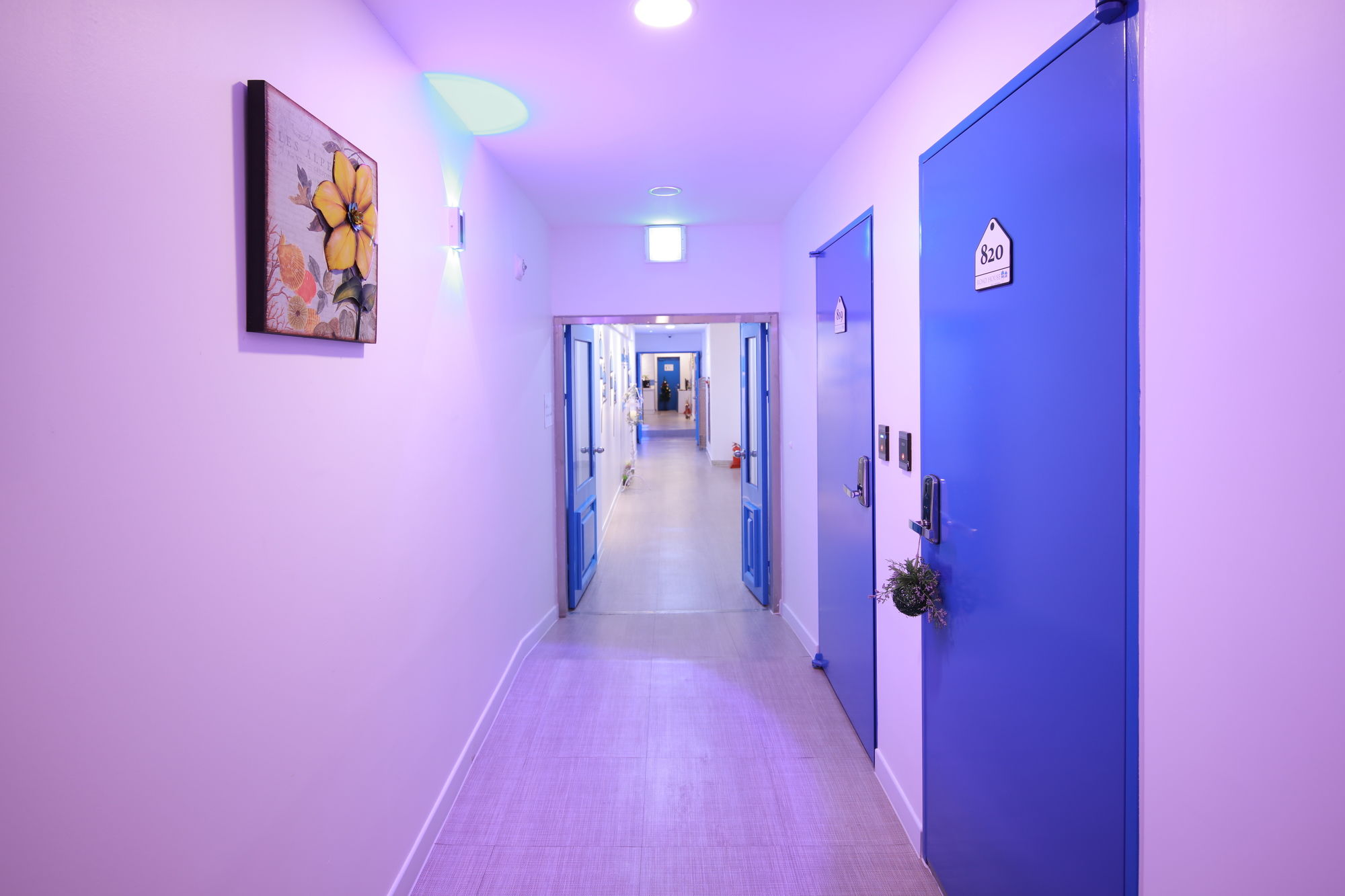 Фото Road House Myeongdong