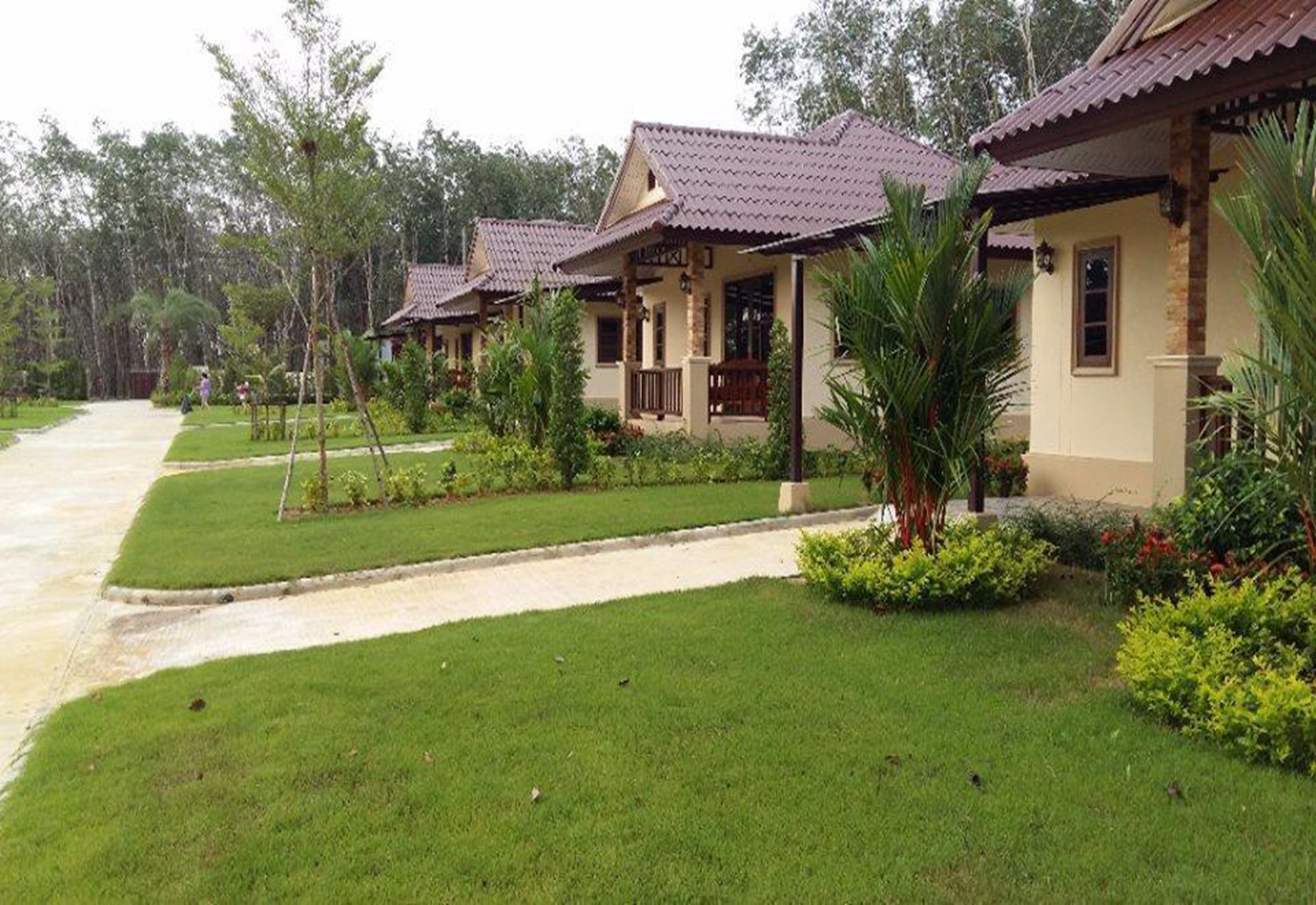 Фото Dachatorn Village