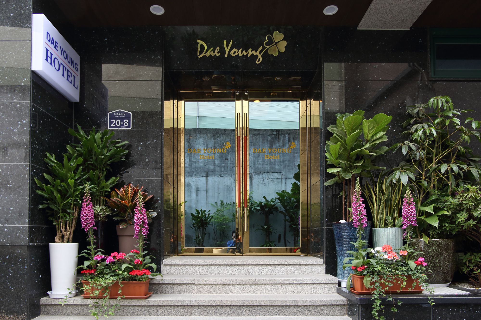 Фото Daeyoung Hotel Seoul