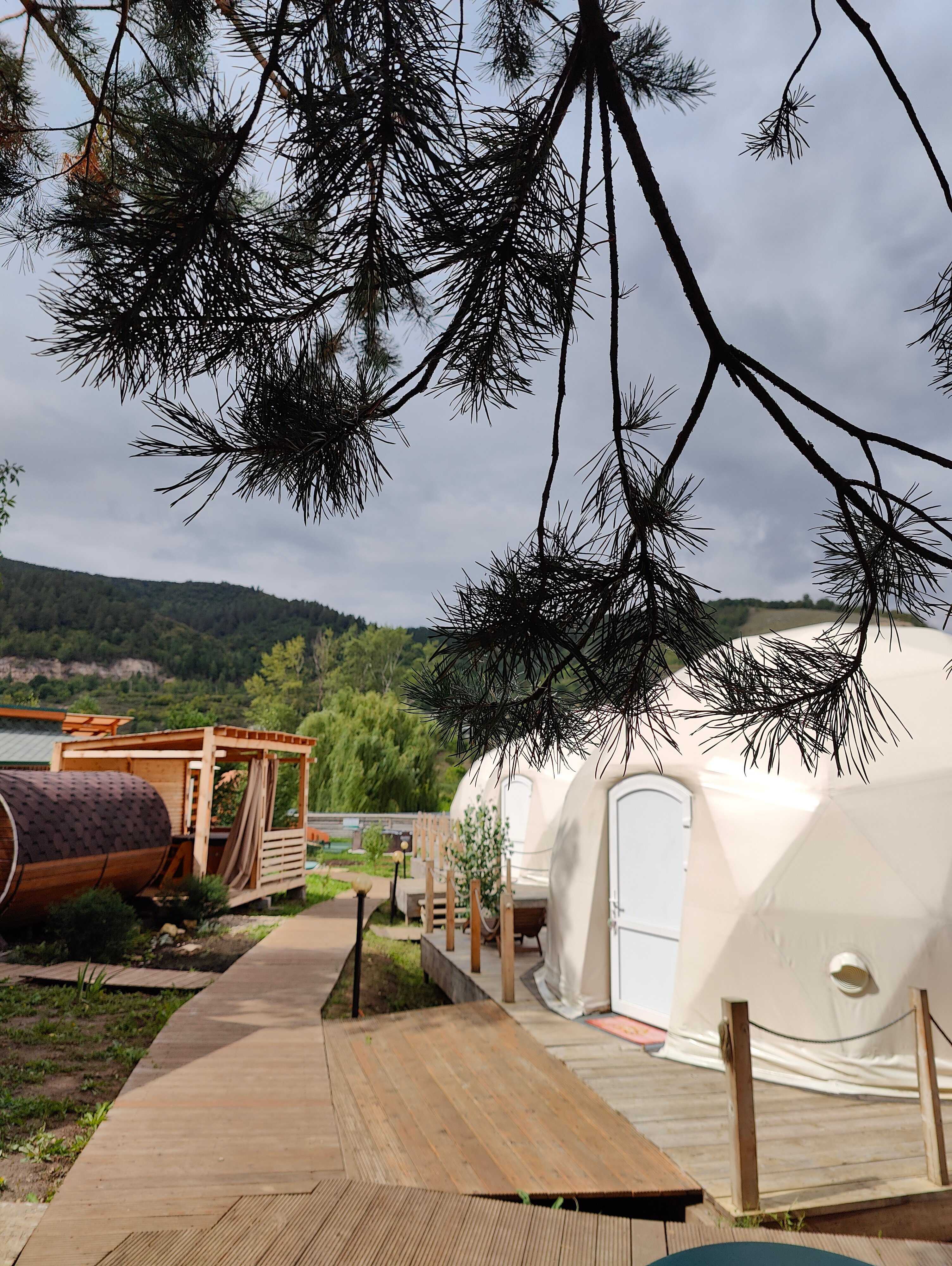 Фото Лисички-сестрички