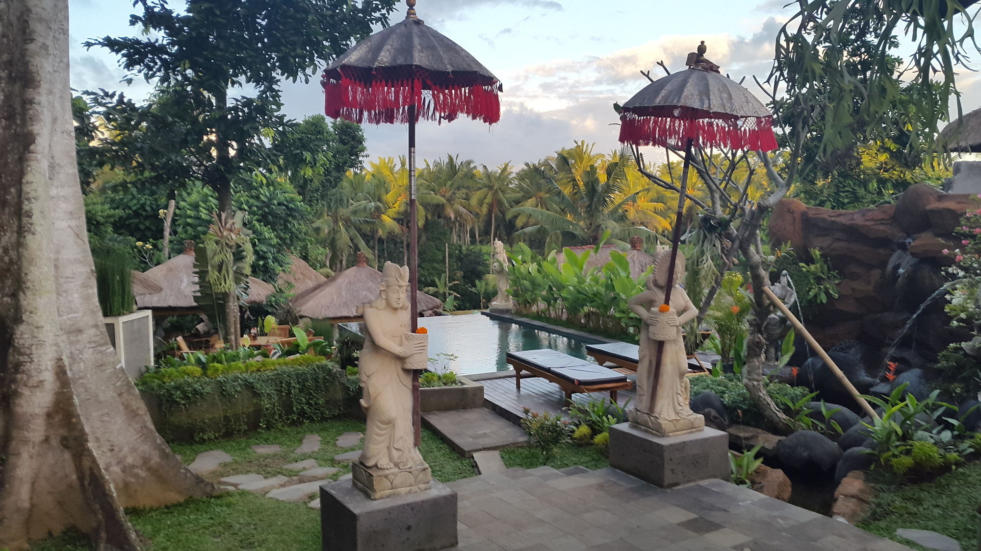 Фото Liyer House