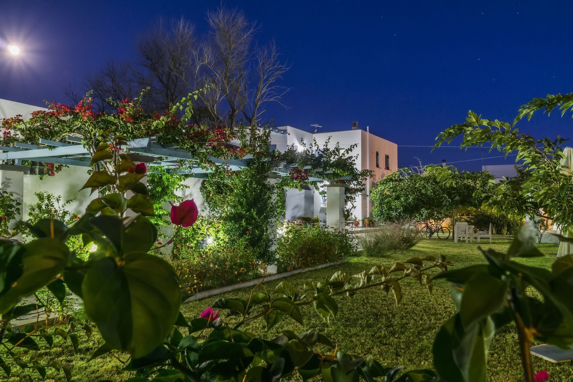 Фото Kallisti Studios