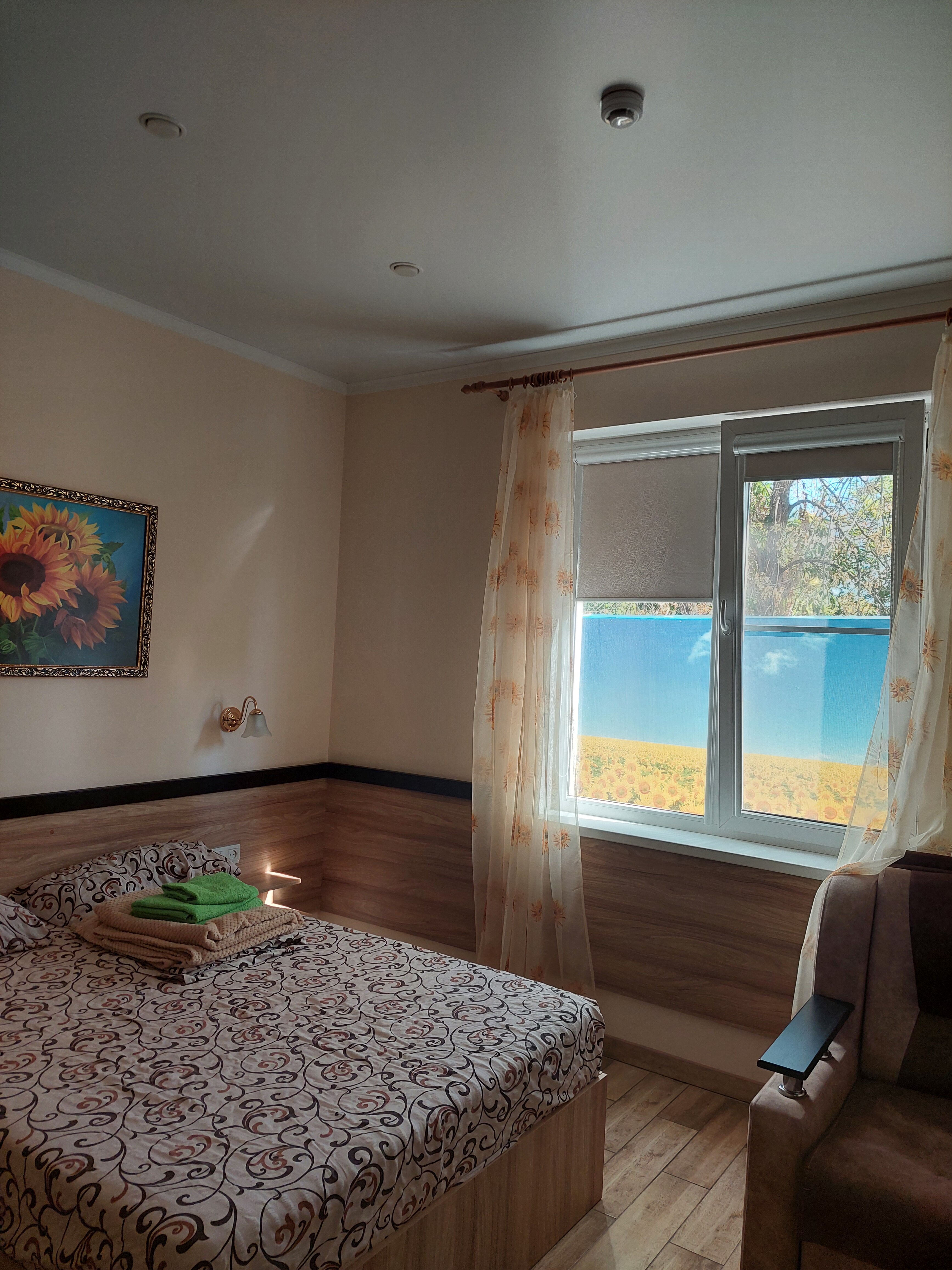 Фото Подсолнух