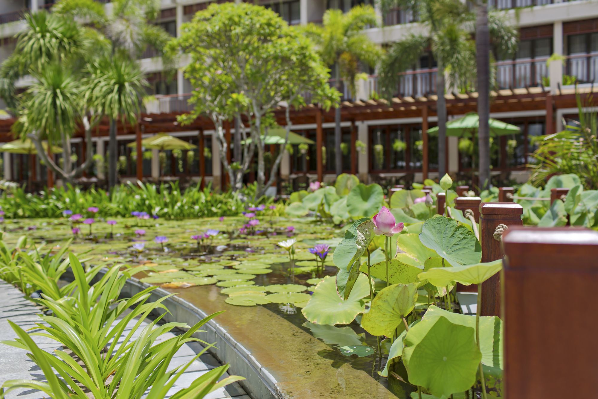 Фото Silk Sense Hoi An River Resort