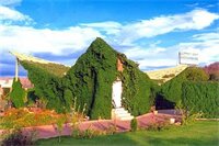 Фото The Fern Ranthambore Forest Resort