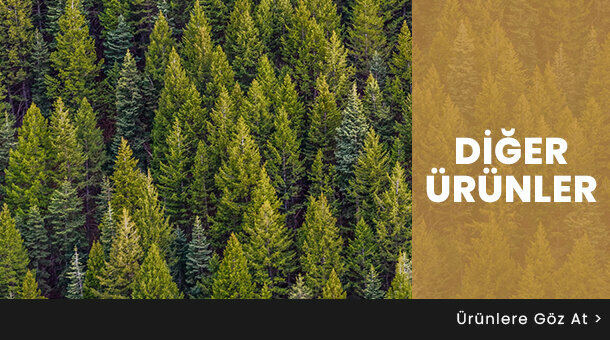 Lumber Kent Ahşap Orman Ürünleri Şube, Istanbul, photo