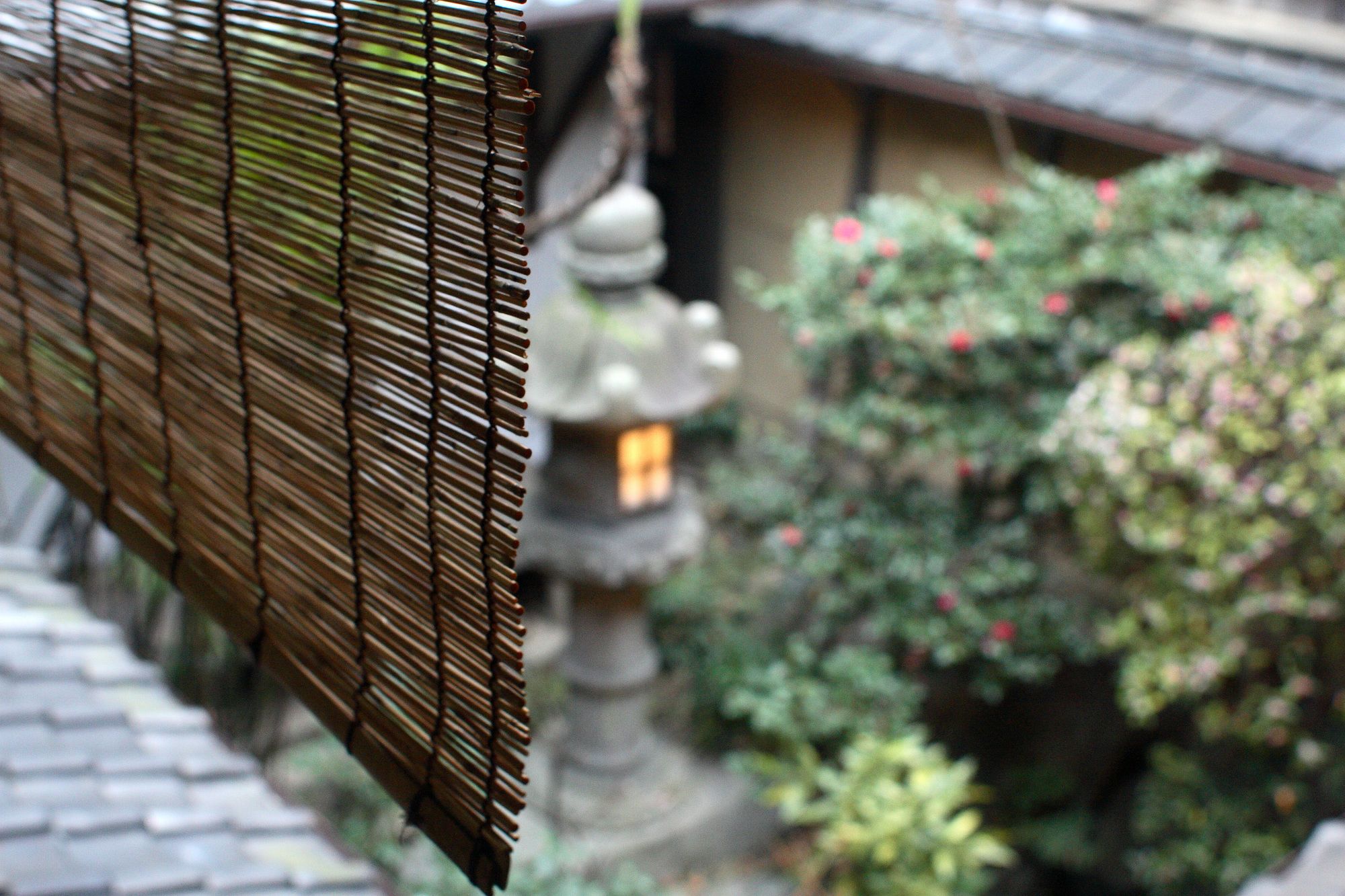 Фото Toshiharu Ryokan