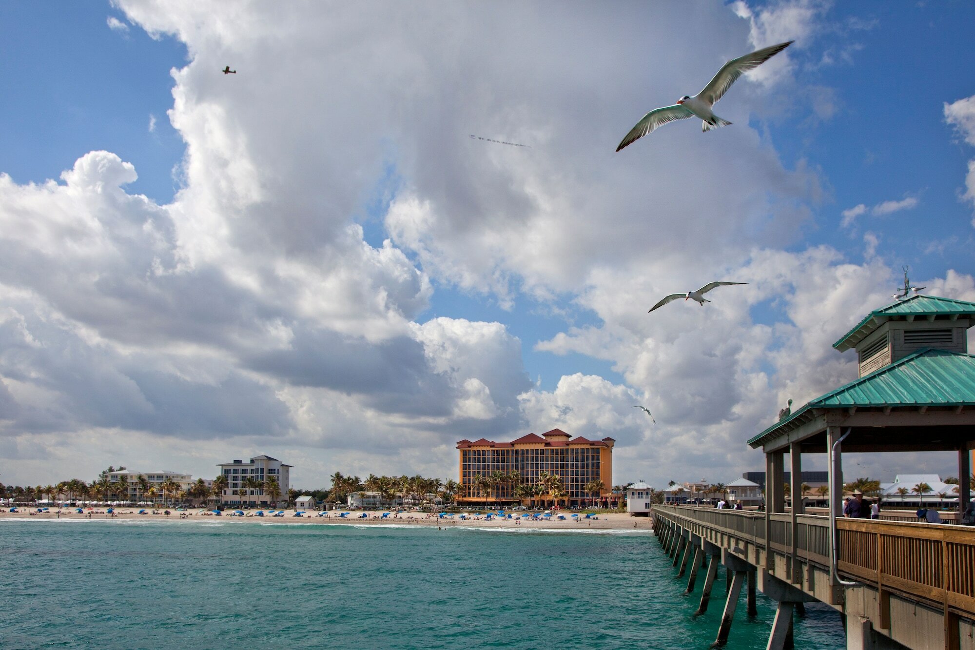 Фото Wyndham Deerfield Beach Resort