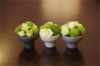 Фото Four Points by Sheraton Seoul, Guro