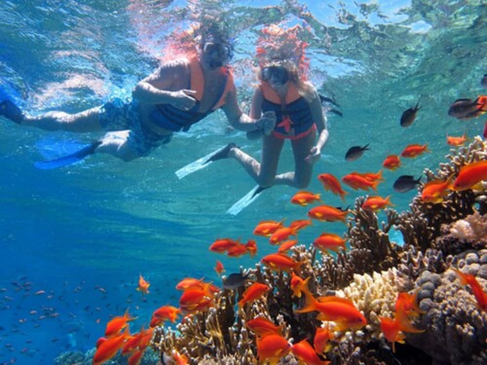 Фото Captain's Inn