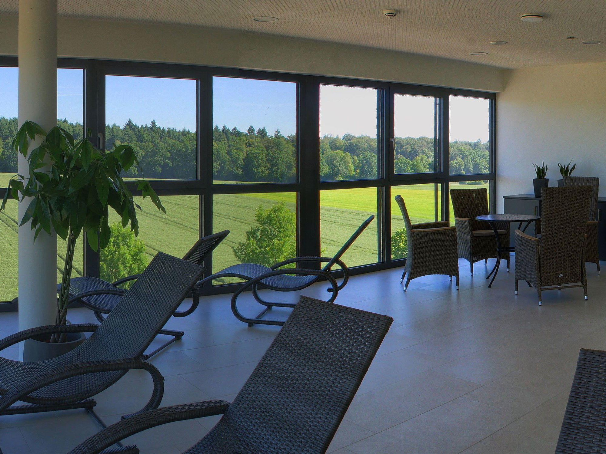 Фото Hotel Campo